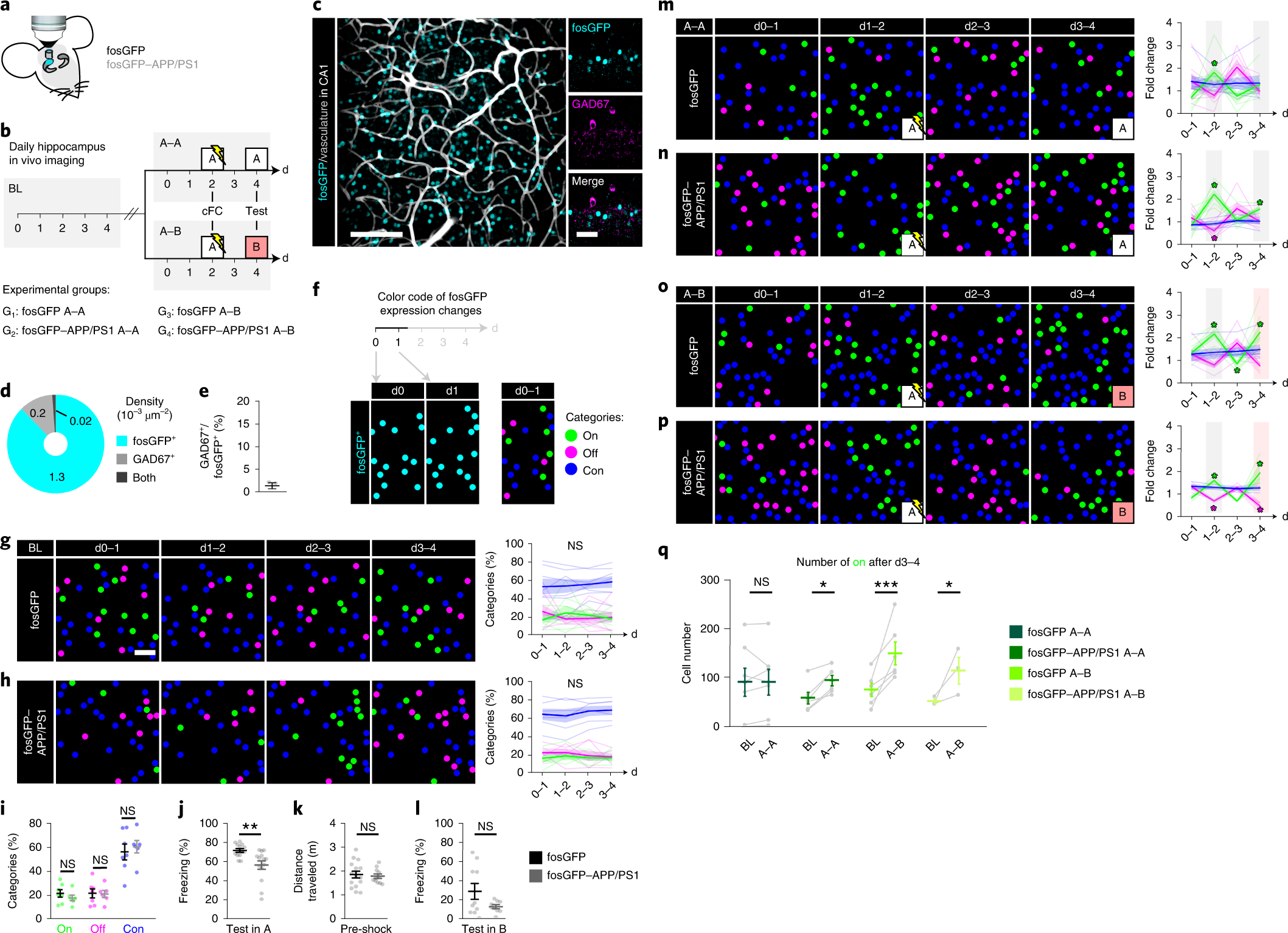 Memory Trace Interference Impairs Recall In A Mouse Model Of Alzheimer S Disease Nature Neuroscience