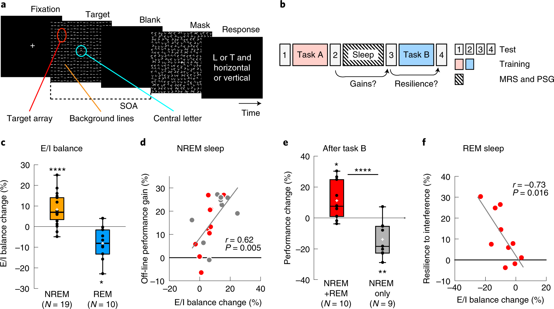 Complementary Contributions Of Non Rem And Rem Sleep To Visual Learning Nature Neuroscience