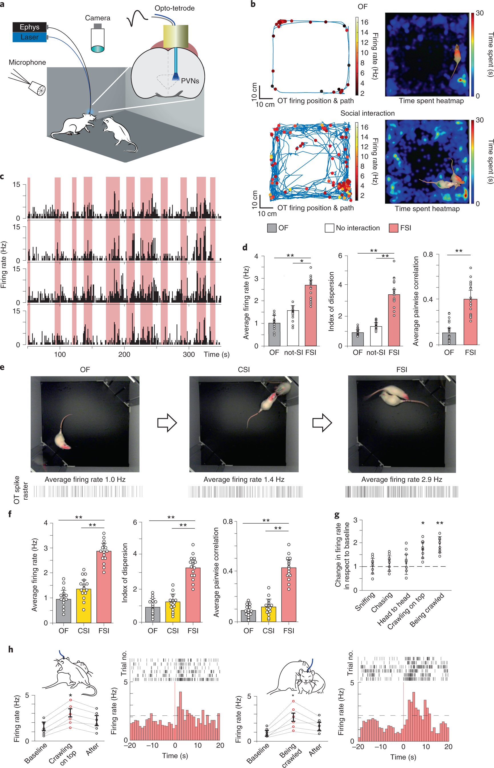 Social Touch Promotes Interfemale Munication Via Activation Of Parvocellular Oxytocin Neurons Nature Neuroscience