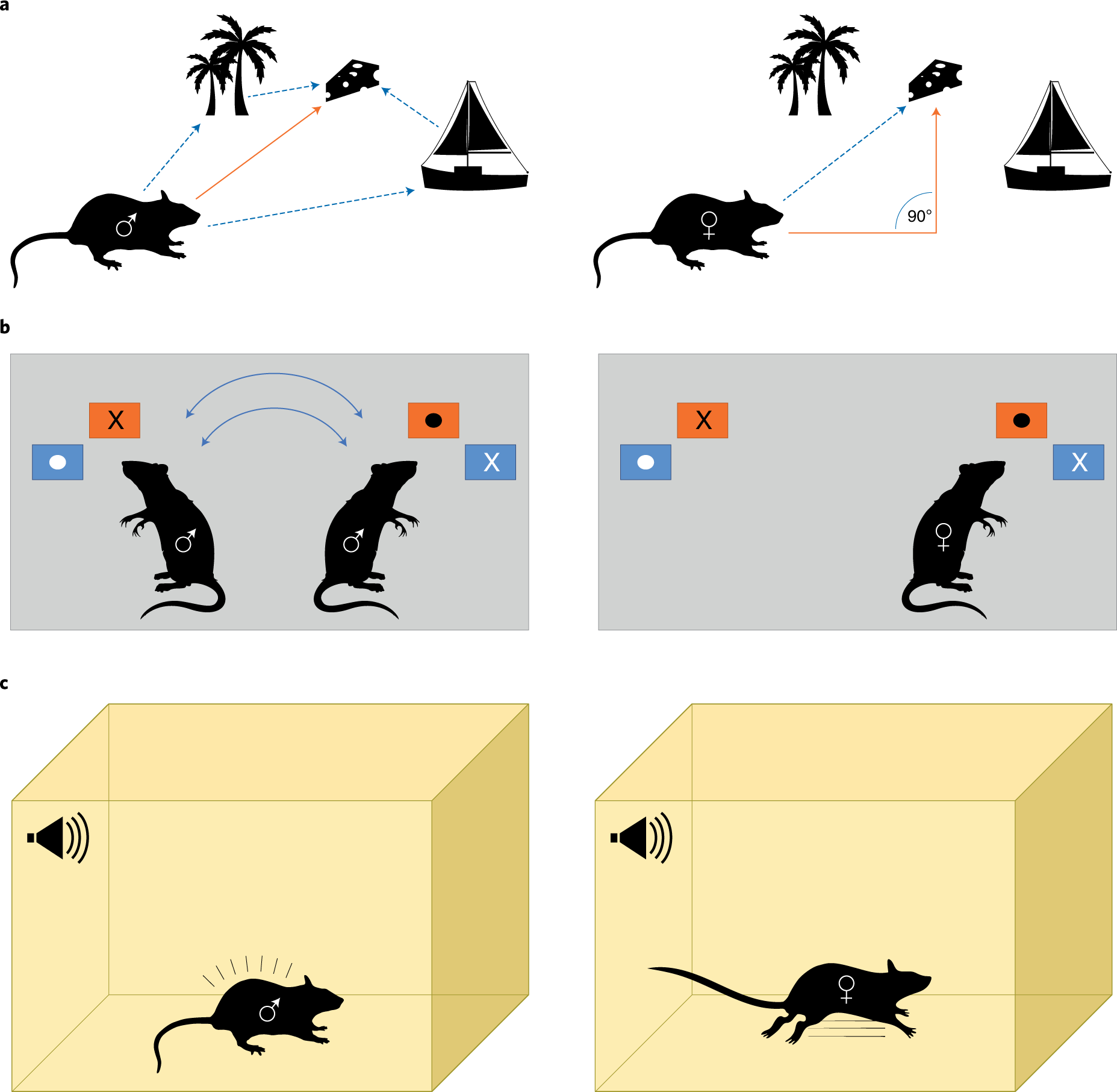 Considering Sex As A Biological Variable Will Require A Global Shift In Science Culture Nature Neuroscience