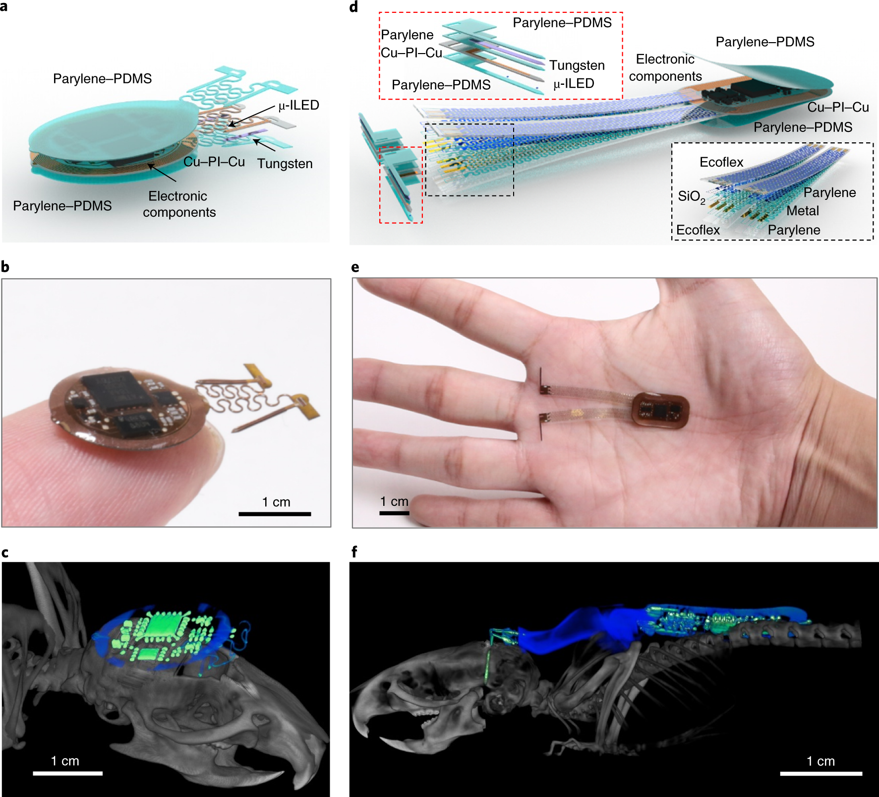 Wireless multilateral devices for optogenetic studies of