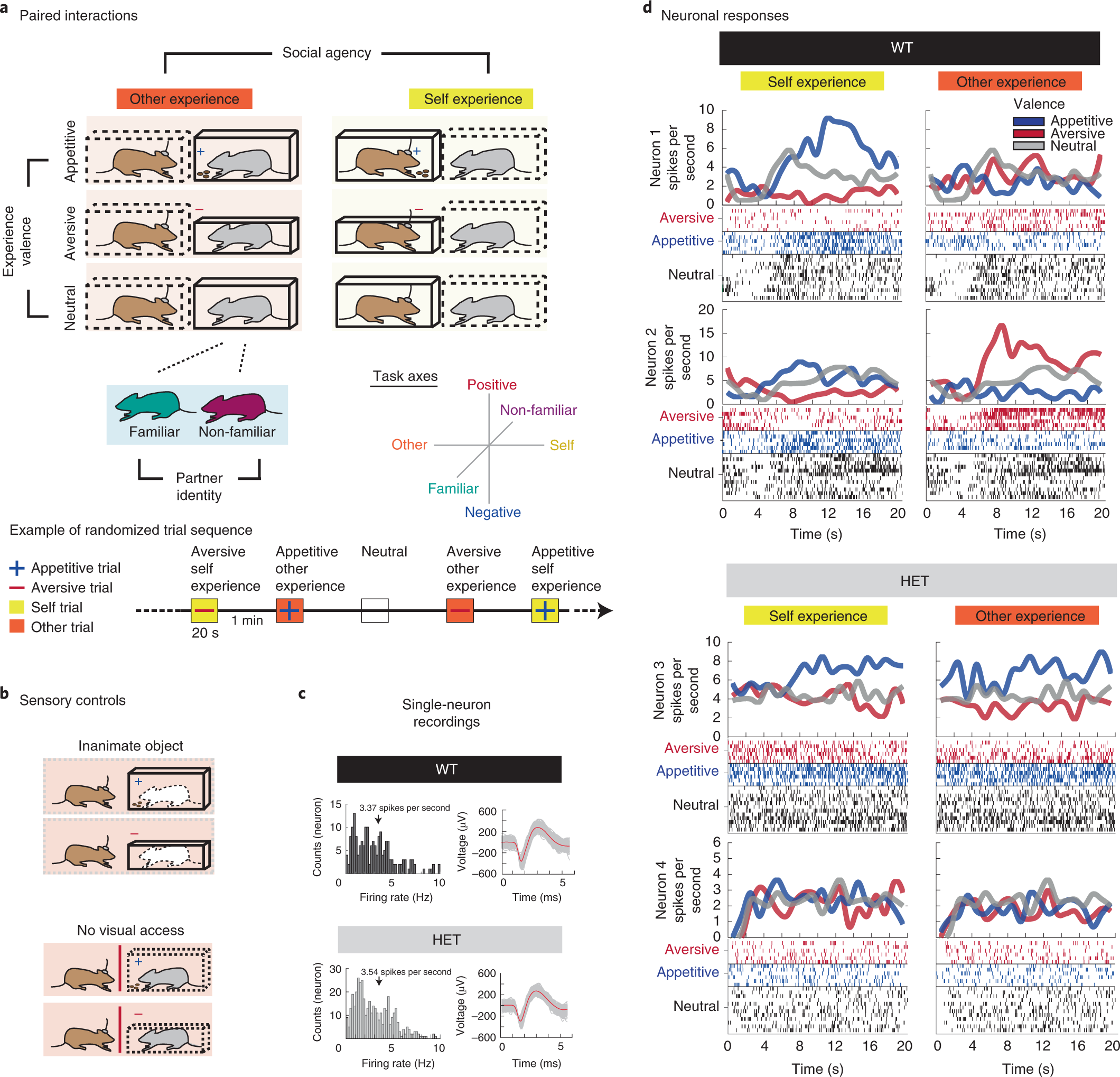 Reduced Sociability And Social Agency Encoding In Adult Shank3 Mutant Mice Are Restored Through Gene Re Expression In Real Time Nature Neuroscience