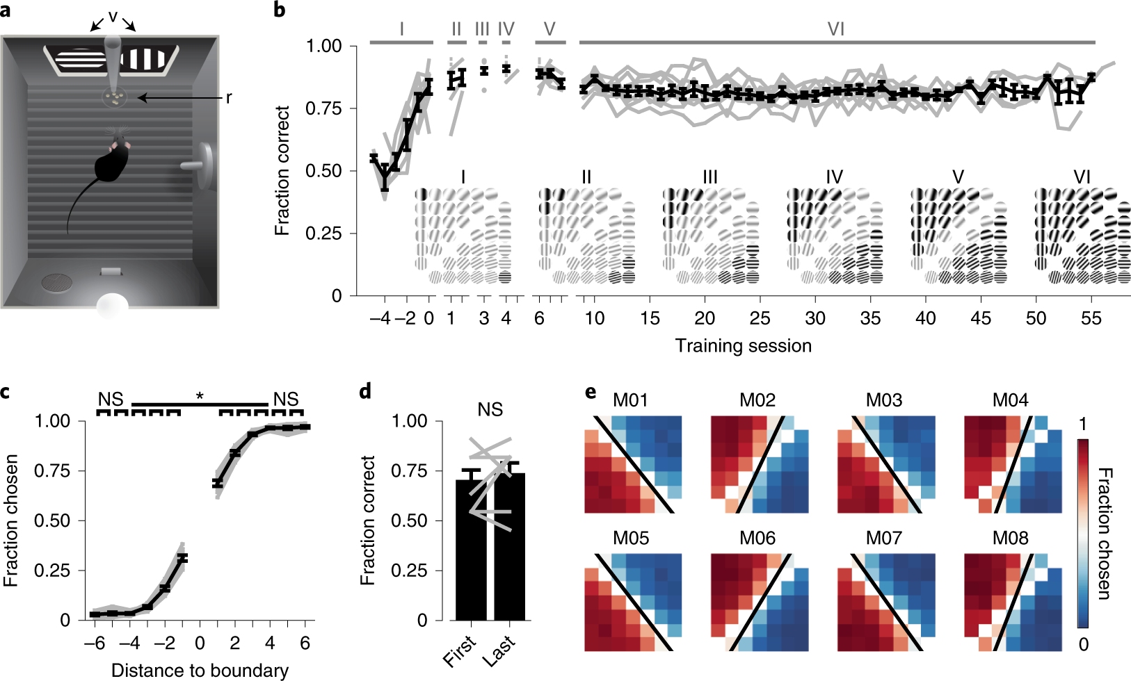 Dynamics of Visual Perceptual Decision-Making in Freely Behaving