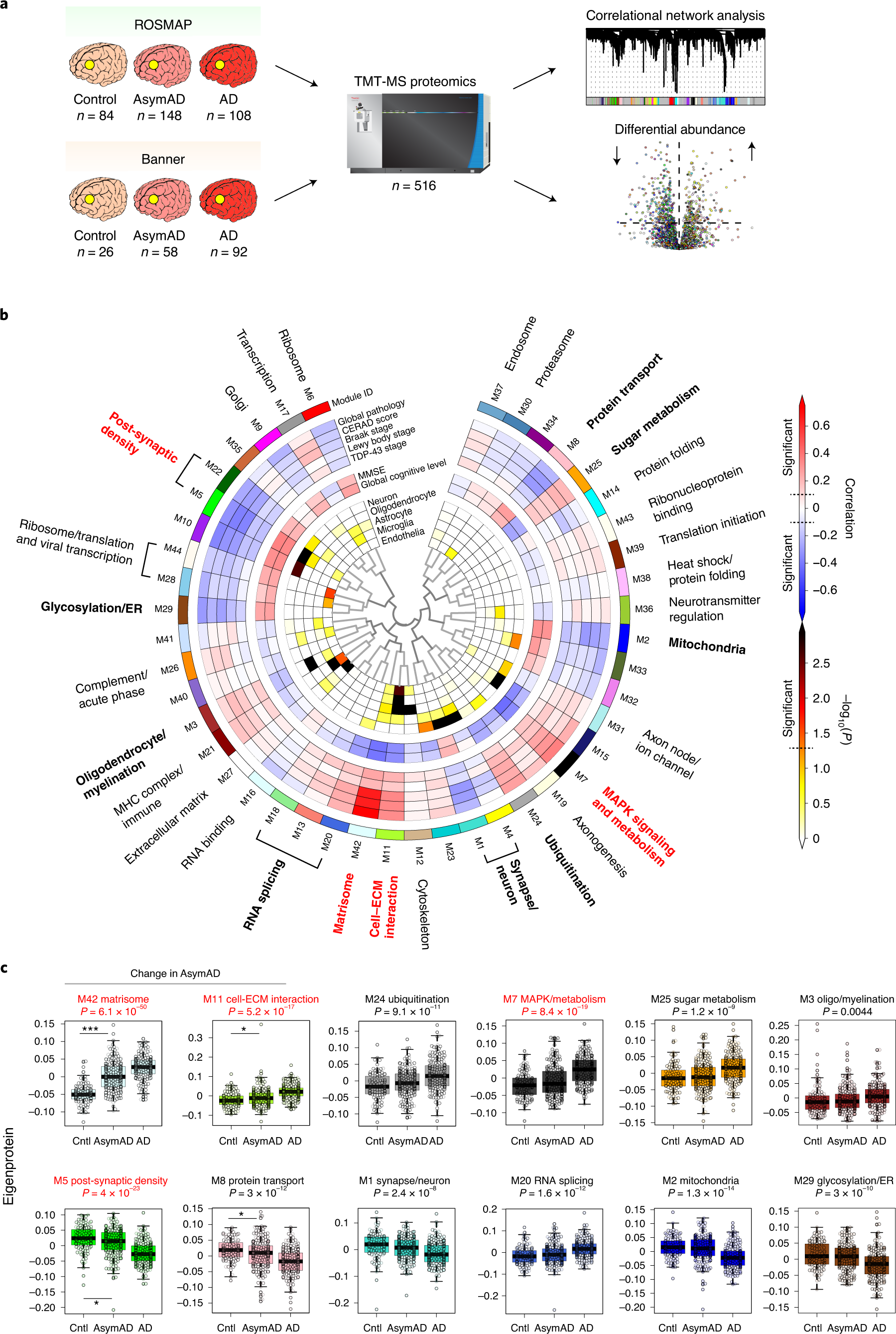 Fig. 1: TMT AD protein co-expression network.