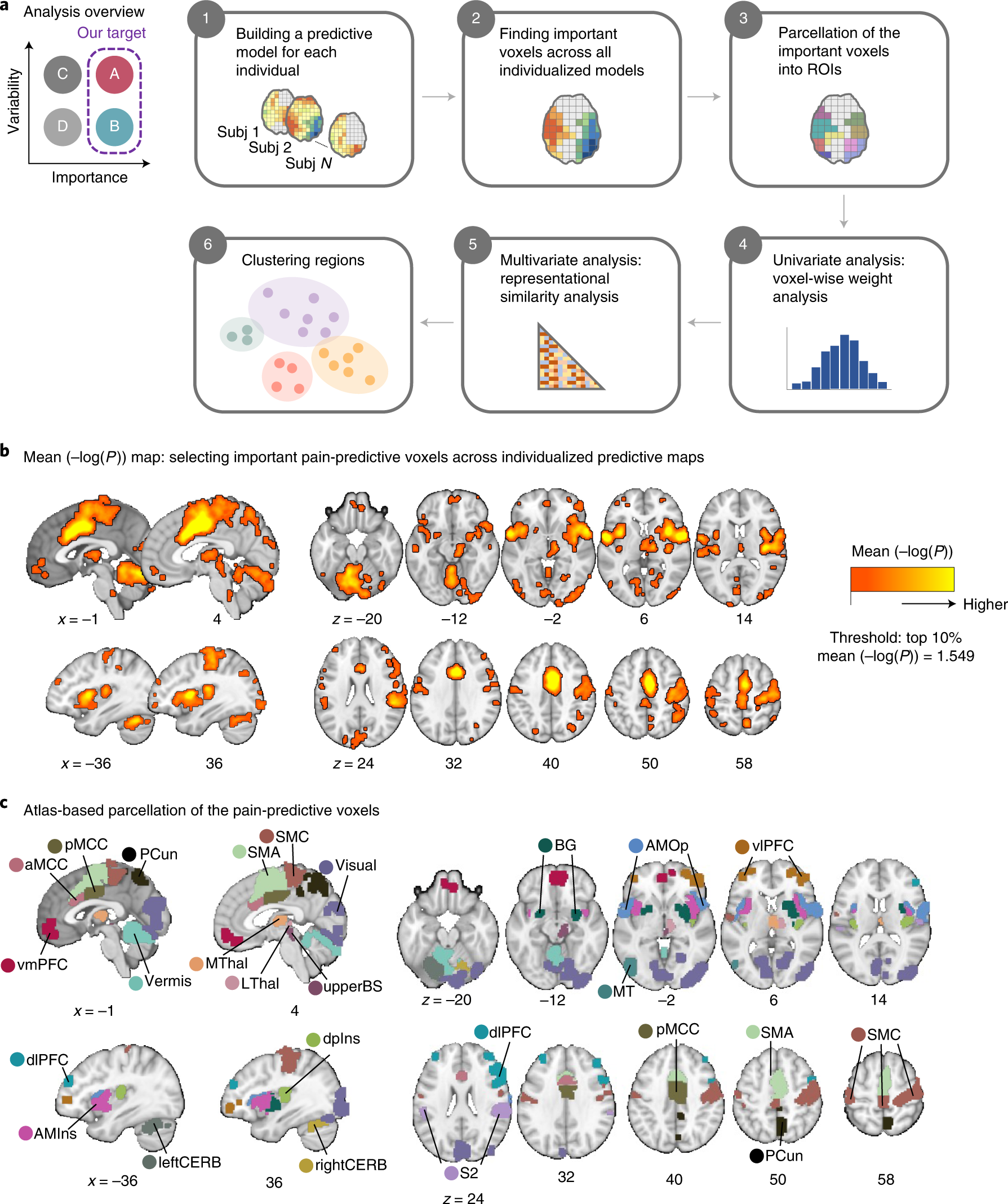 Individual variability in brain representations of pain | Nature  Neuroscience