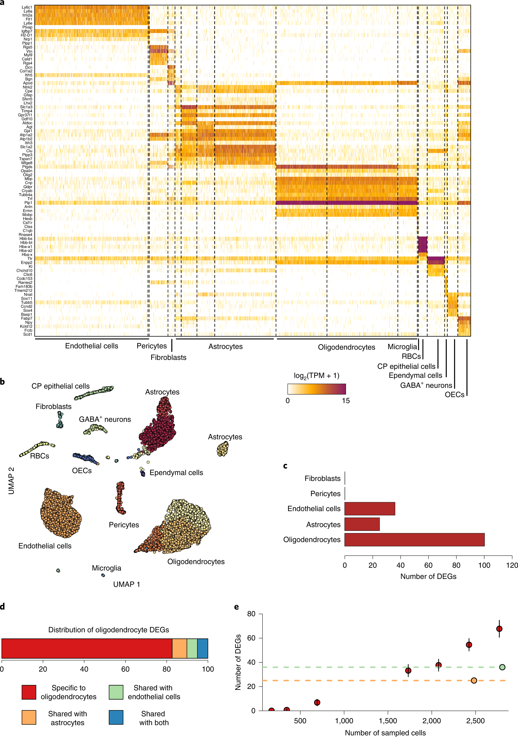 A shared disease-associated oligodendrocyte signature among multiple CNS  pathologies | Nature Neuroscience