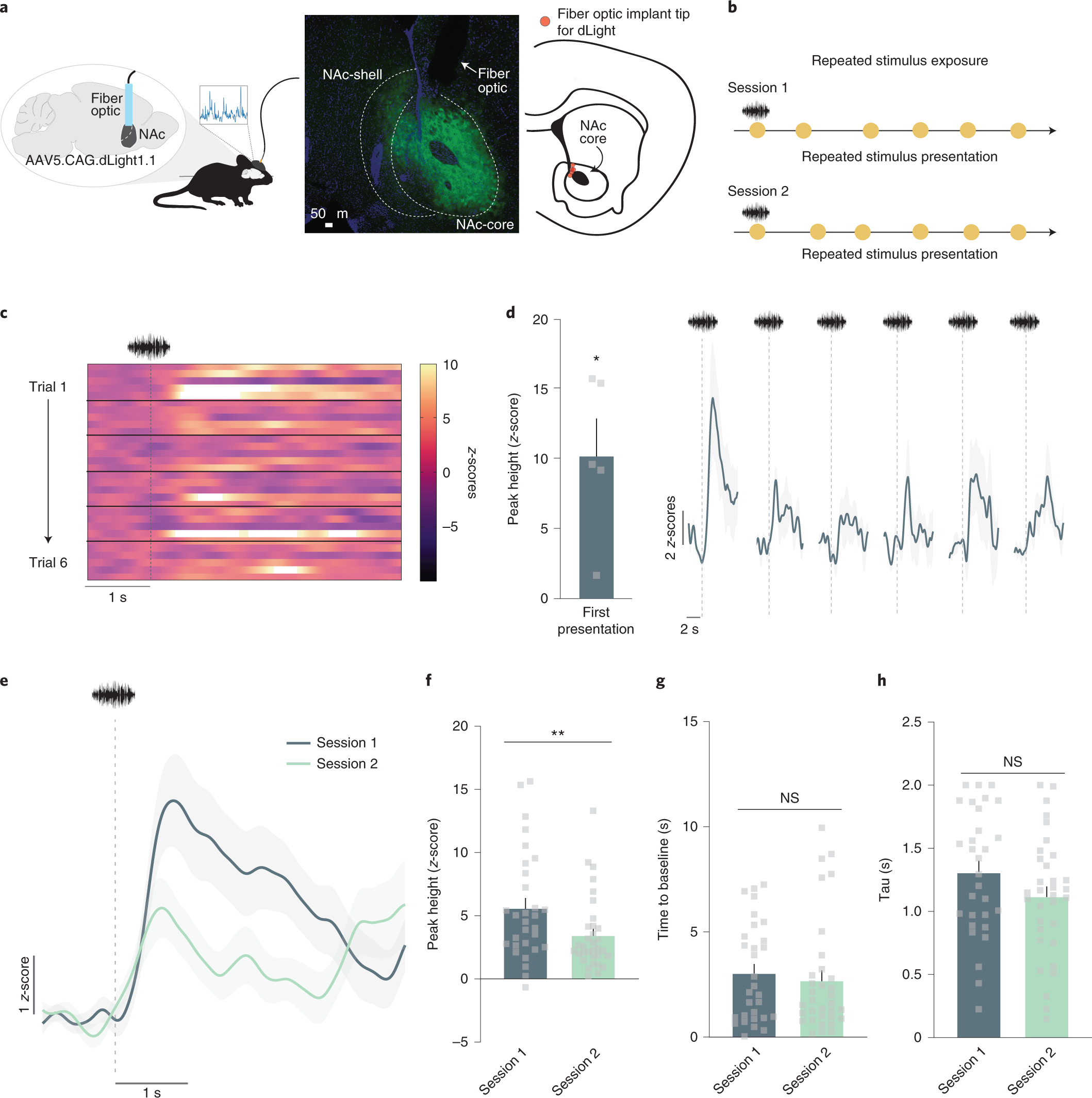 Synapse - TDT Lightning Videos