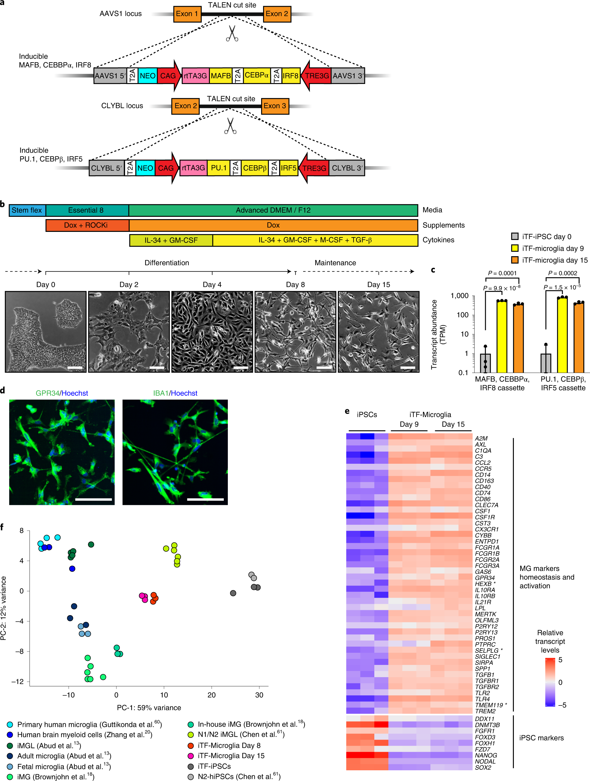 A CRISPRi/a platform in human iPSC-derived microglia uncovers regulators of  disease states | Nature Neuroscience