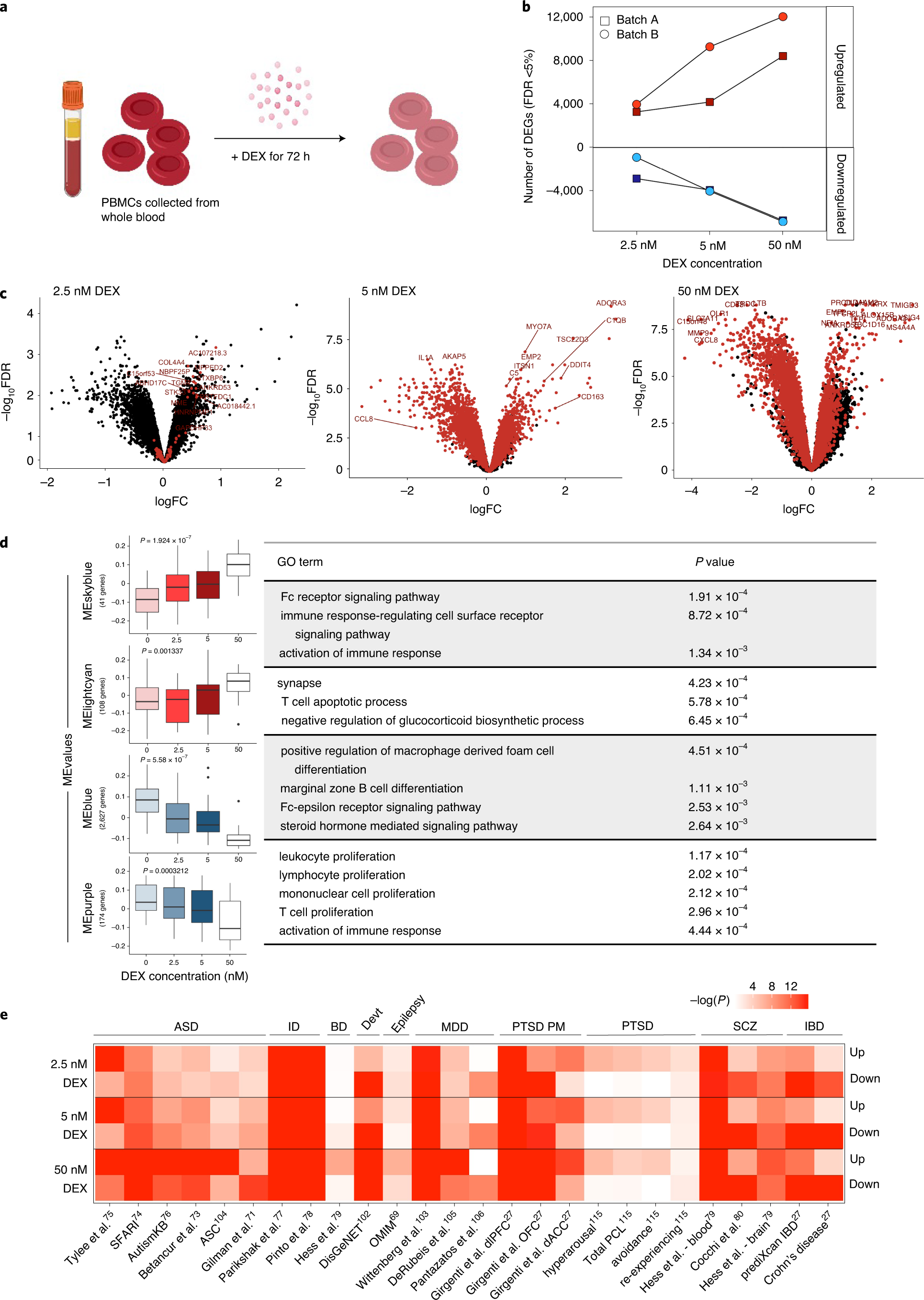 Modeling gene × environment interactions in PTSD using human neurons  reveals diagnosis-specific glucocorticoid-induced gene expression | Nature  Neuroscience