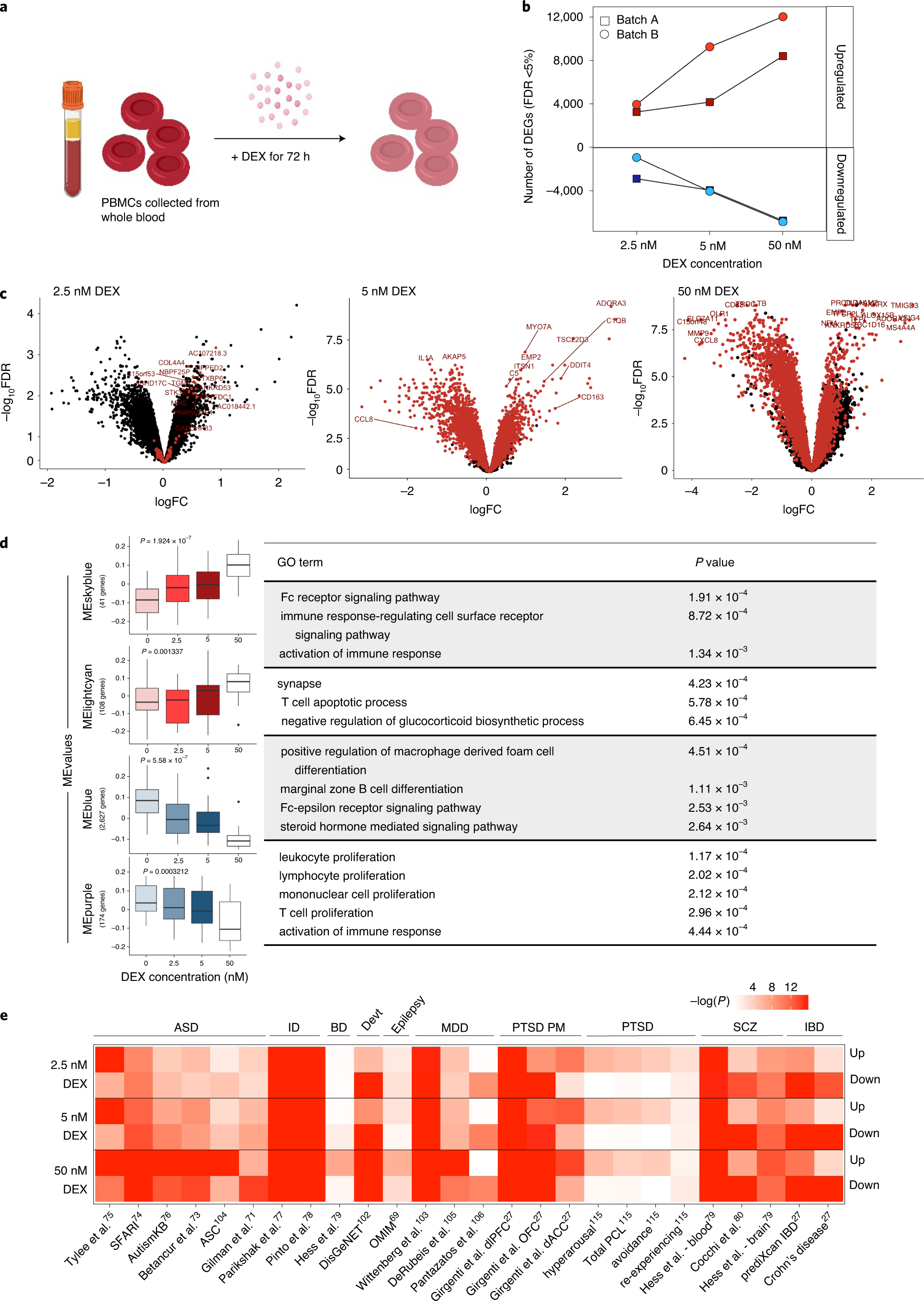 Grand average of event-related potentials recorded in the NMM and NM