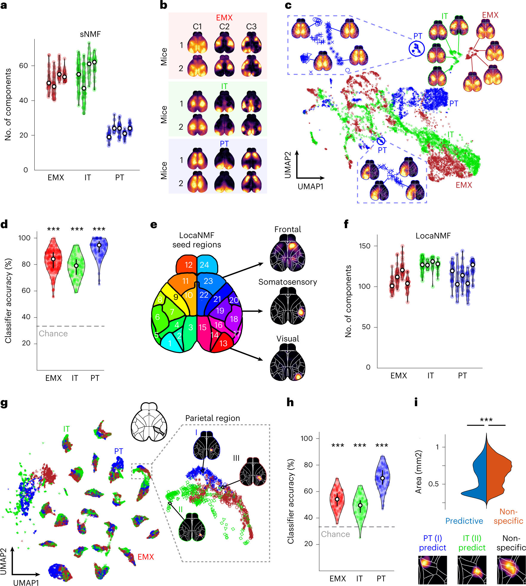 Fig. 2: Pyramidal neuron types exhibit unique cortical activity patterns.