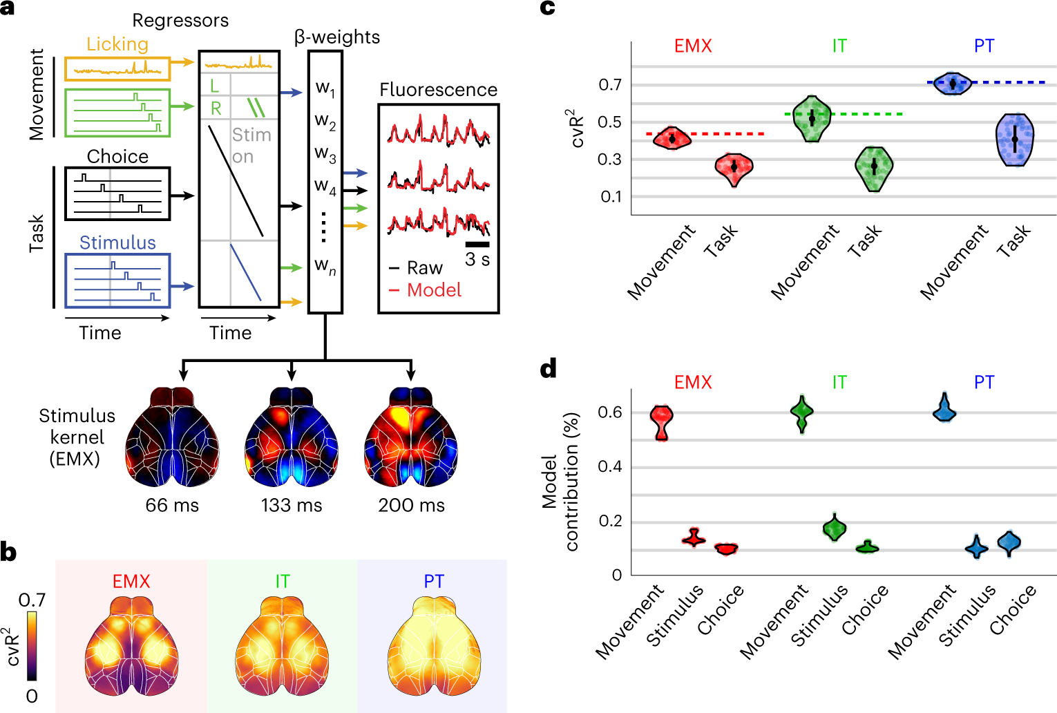 Fig. 4: An encoding model uncovers task-specific differences across pyramidal neuron types.