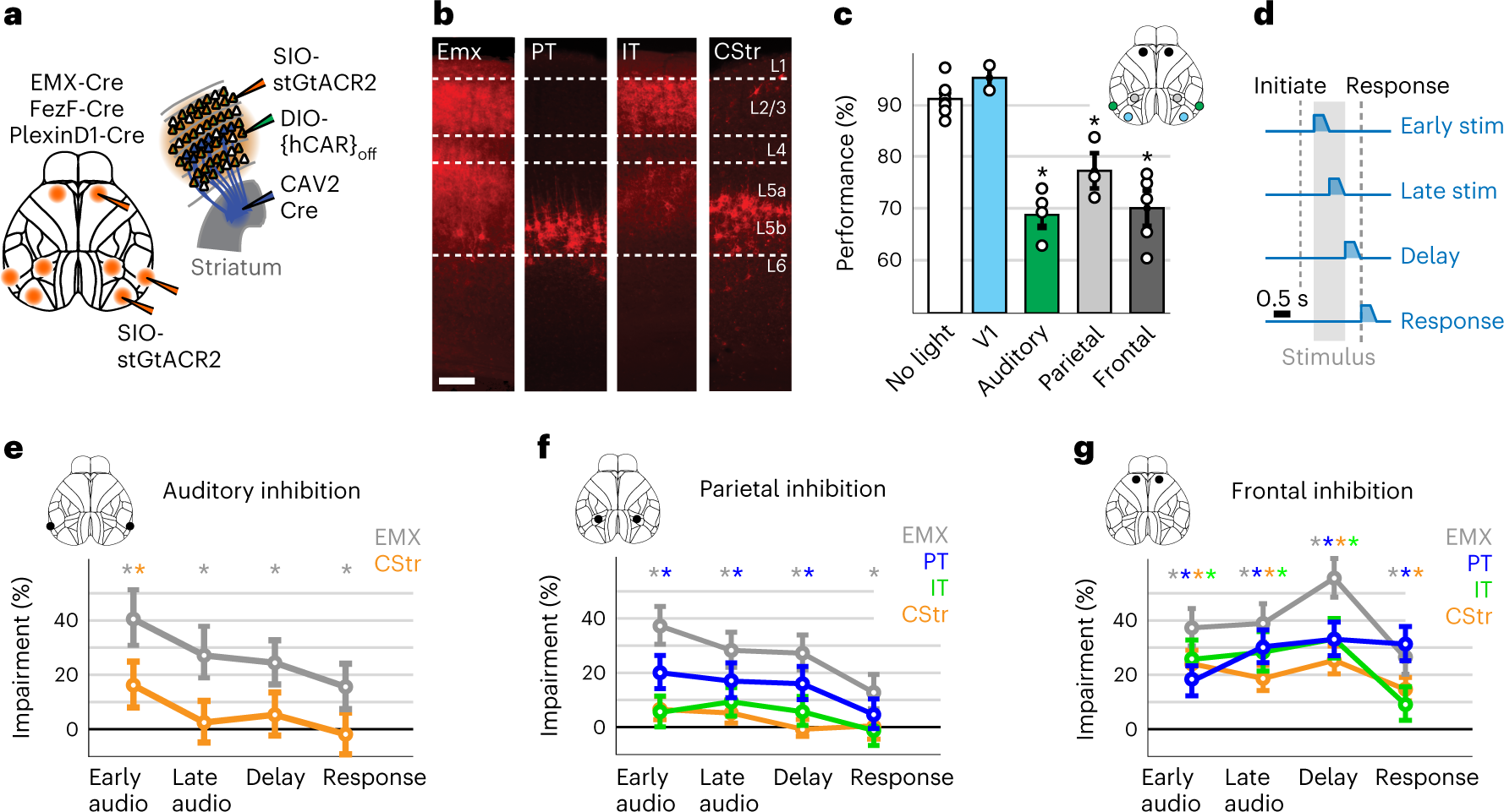 Fig. 8: Temporally restricted, pyramidal neuron-specific inactivation of parietal and frontal cortex disrupts decisions.