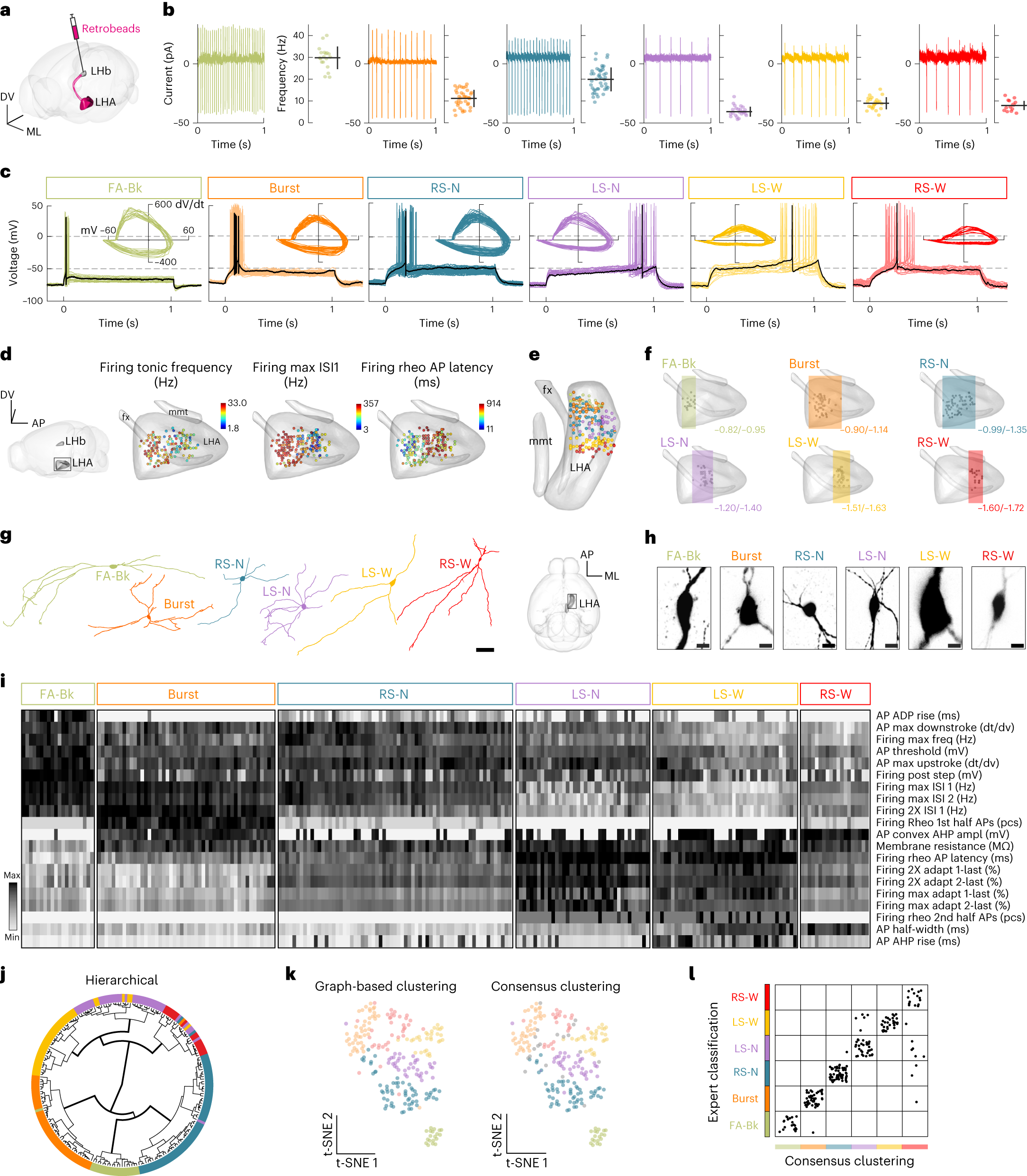 Esr1+ hypothalamic-habenula neurons shape aversive states | Nature  Neuroscience