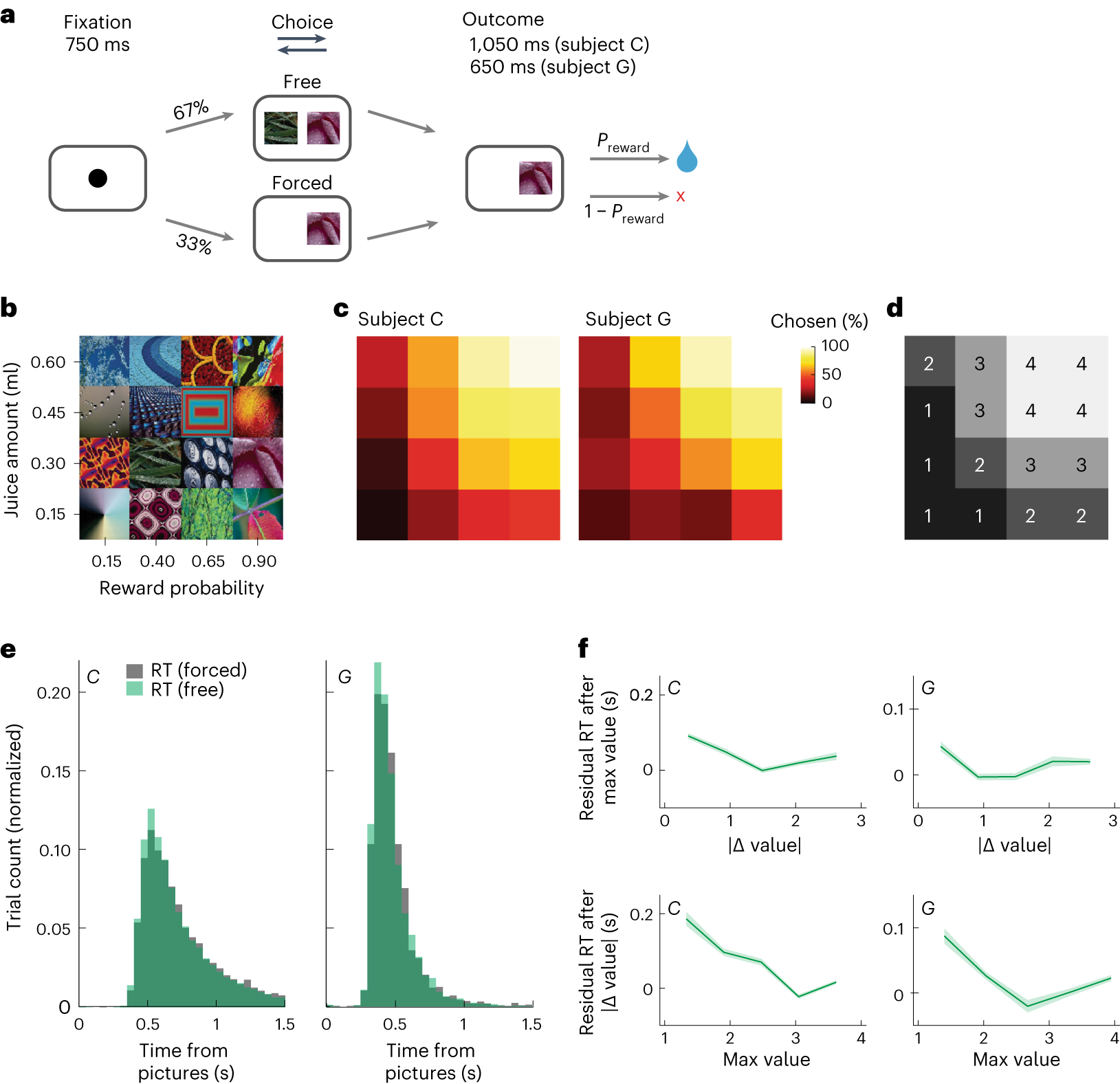 Dynamics of Visual Perceptual Decision-Making in Freely Behaving