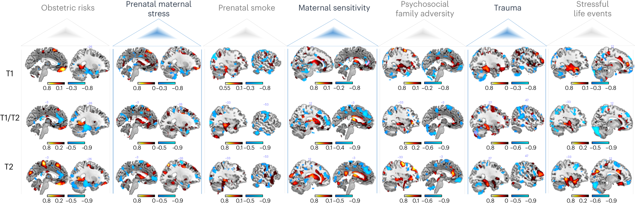 Fig. 2: Spatial representation of the structure coefficients.