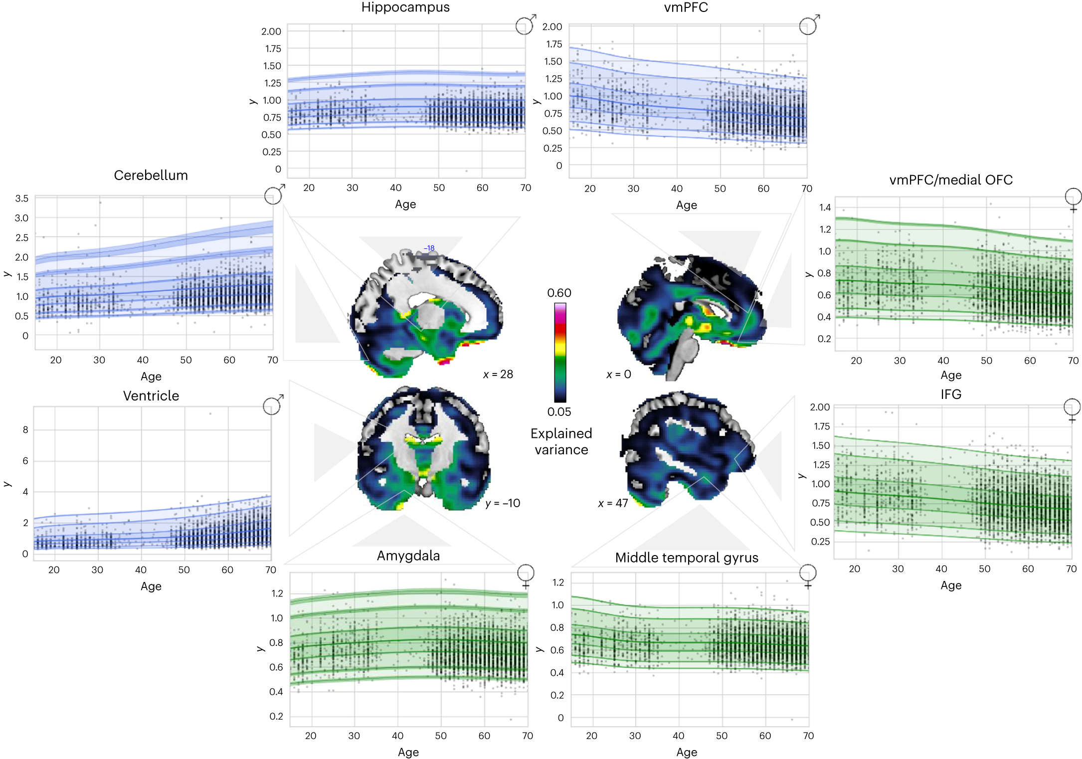 Fig. 4: Age-related JD development.