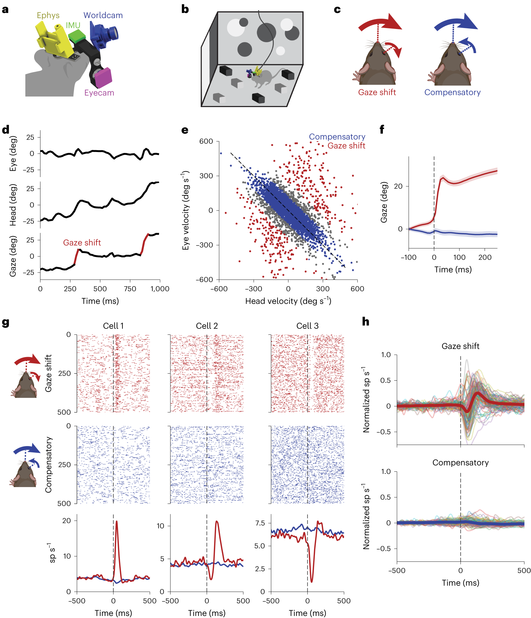 A Chip Off the Old Eye: Device Mimics Human Vision and Memory -  Neuroscience News