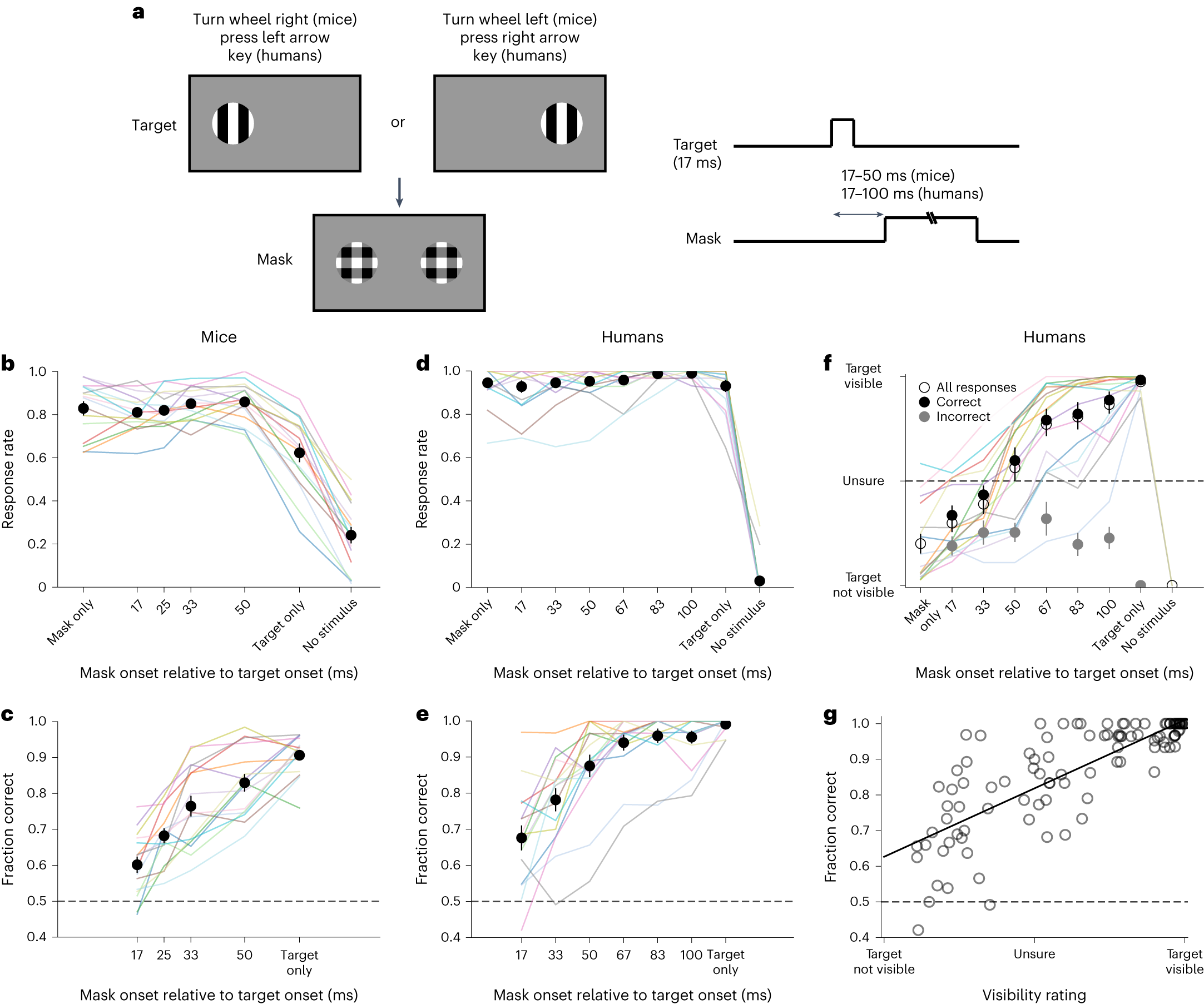 Mouse Accuracy & Reaction Timing practice 