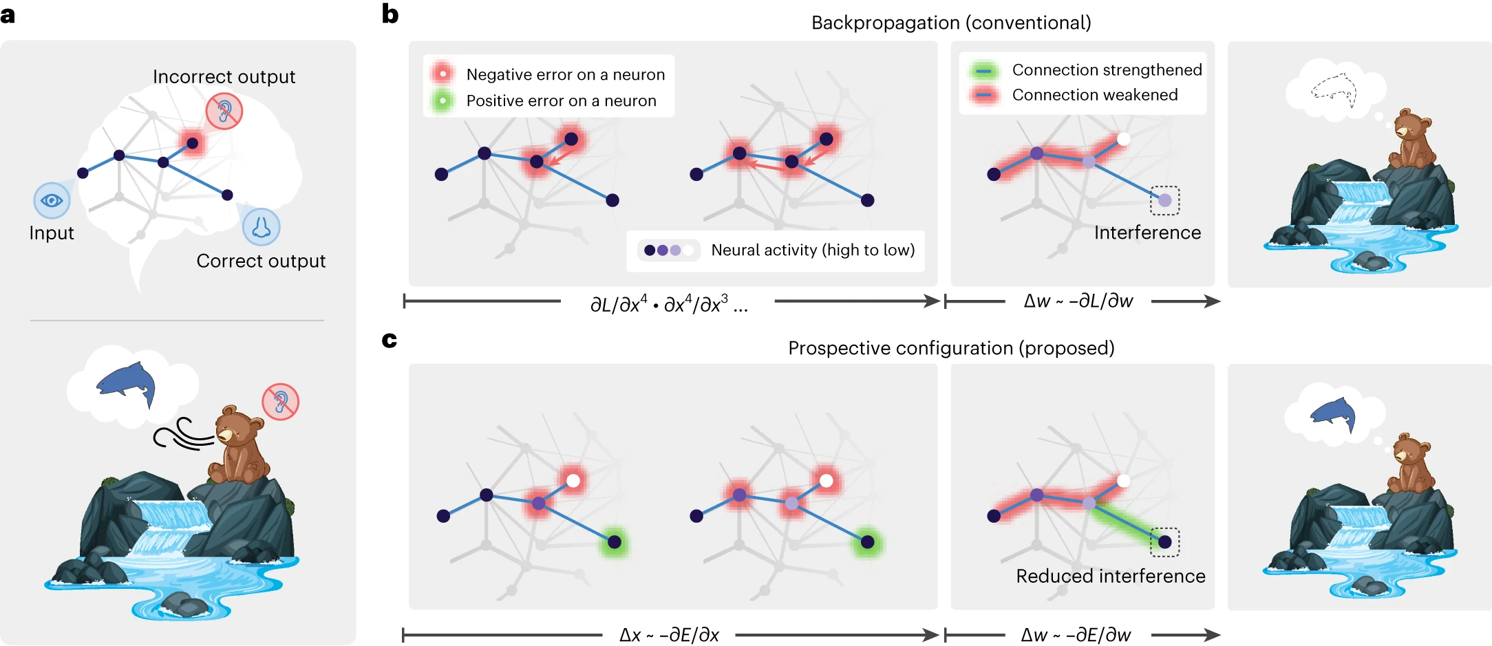 https://media.springernature.com/full/springer-static/image/art%3A10.1038%2Fs41593-023-01514-1/MediaObjects/41593_2023_1514_Fig1_HTML.png?as=webp