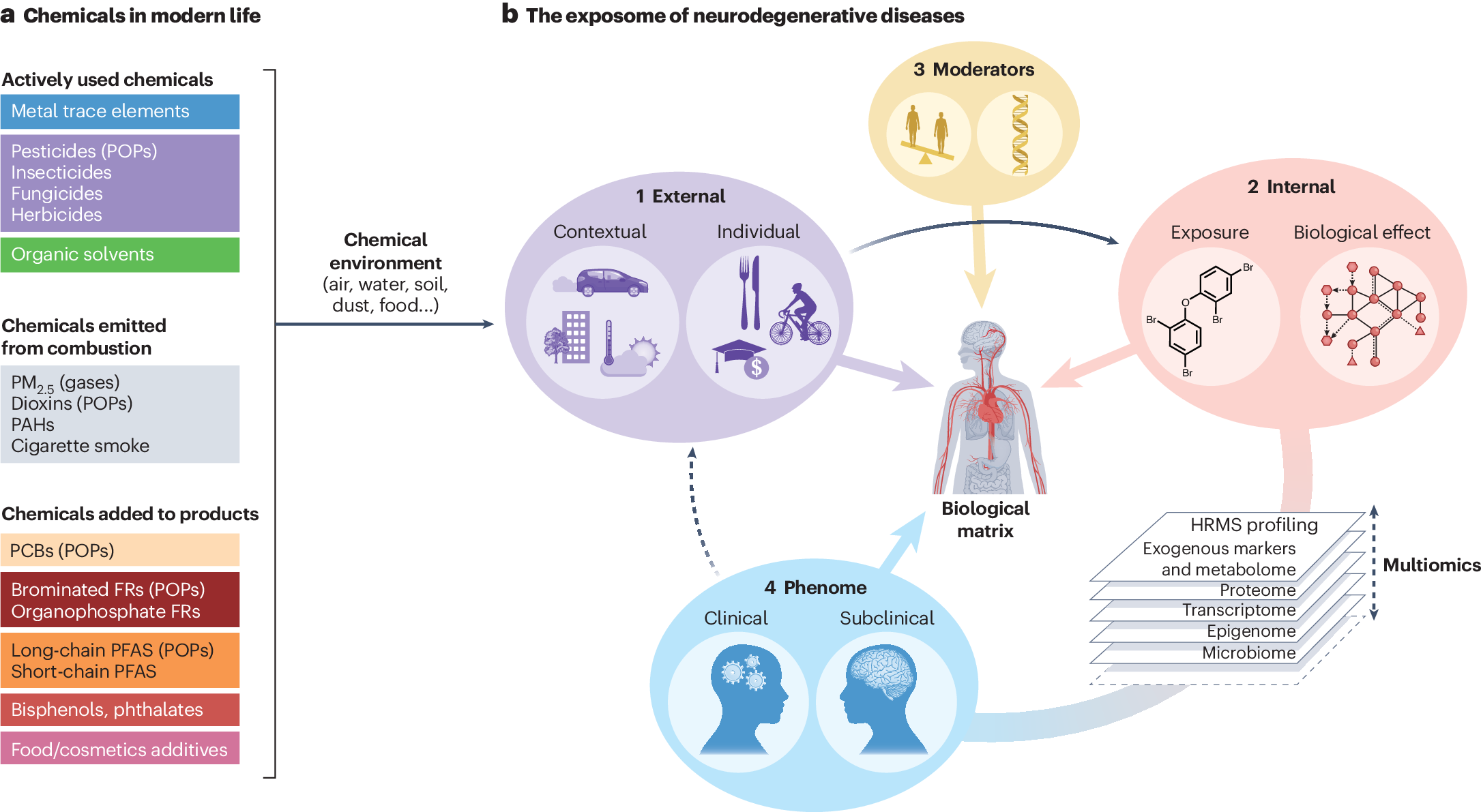 Assessing the contribution of the chemical exposome to neurodegenerative  disease | Nature Neuroscience
