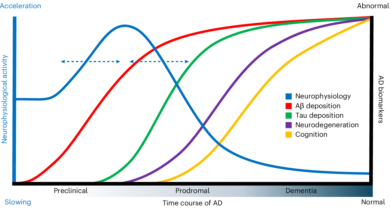 Synergistic association of Aβ and tau pathology with cortical  neurophysiology and cognitive decline in asymptomatic older adults | Nature  Neuroscience