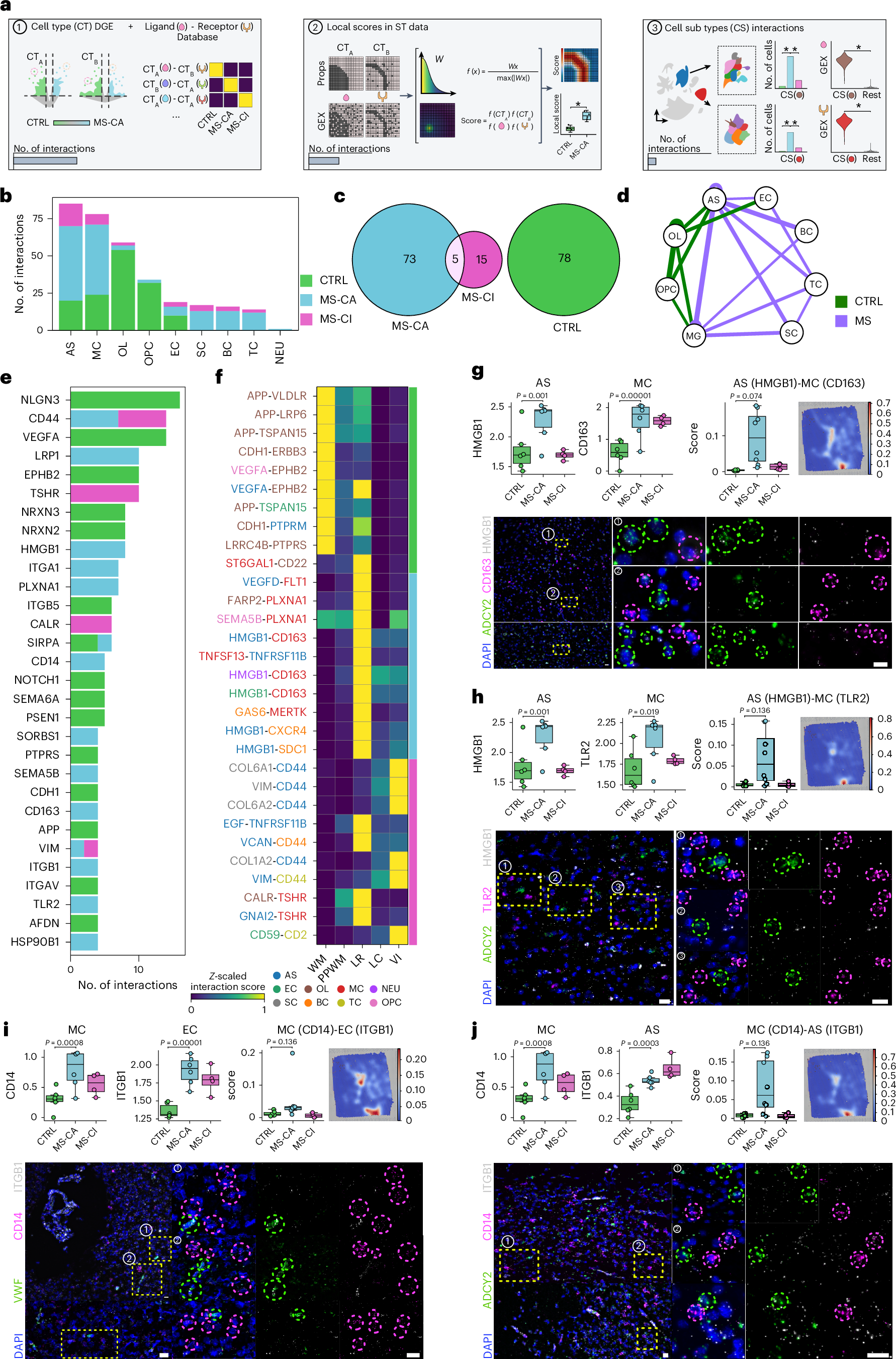 Fig. 4: Inference of differential CCC events.