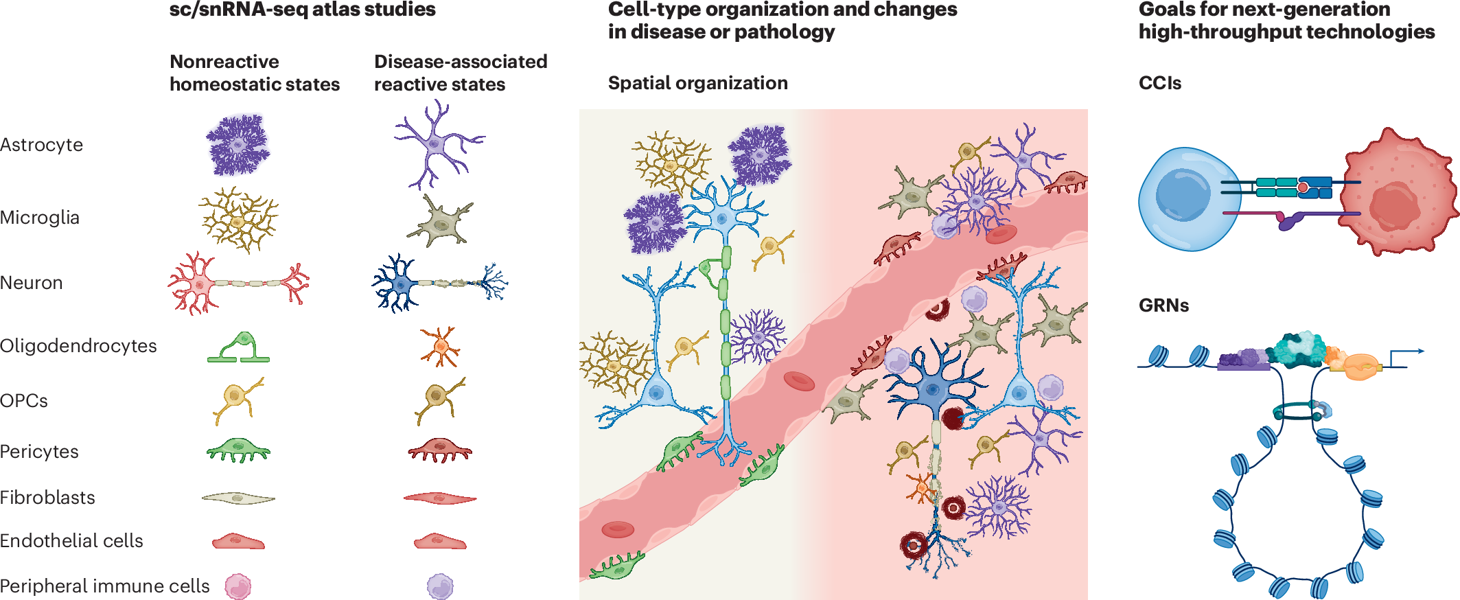 Opportunities and challenges of single-cell and spatially resolved 