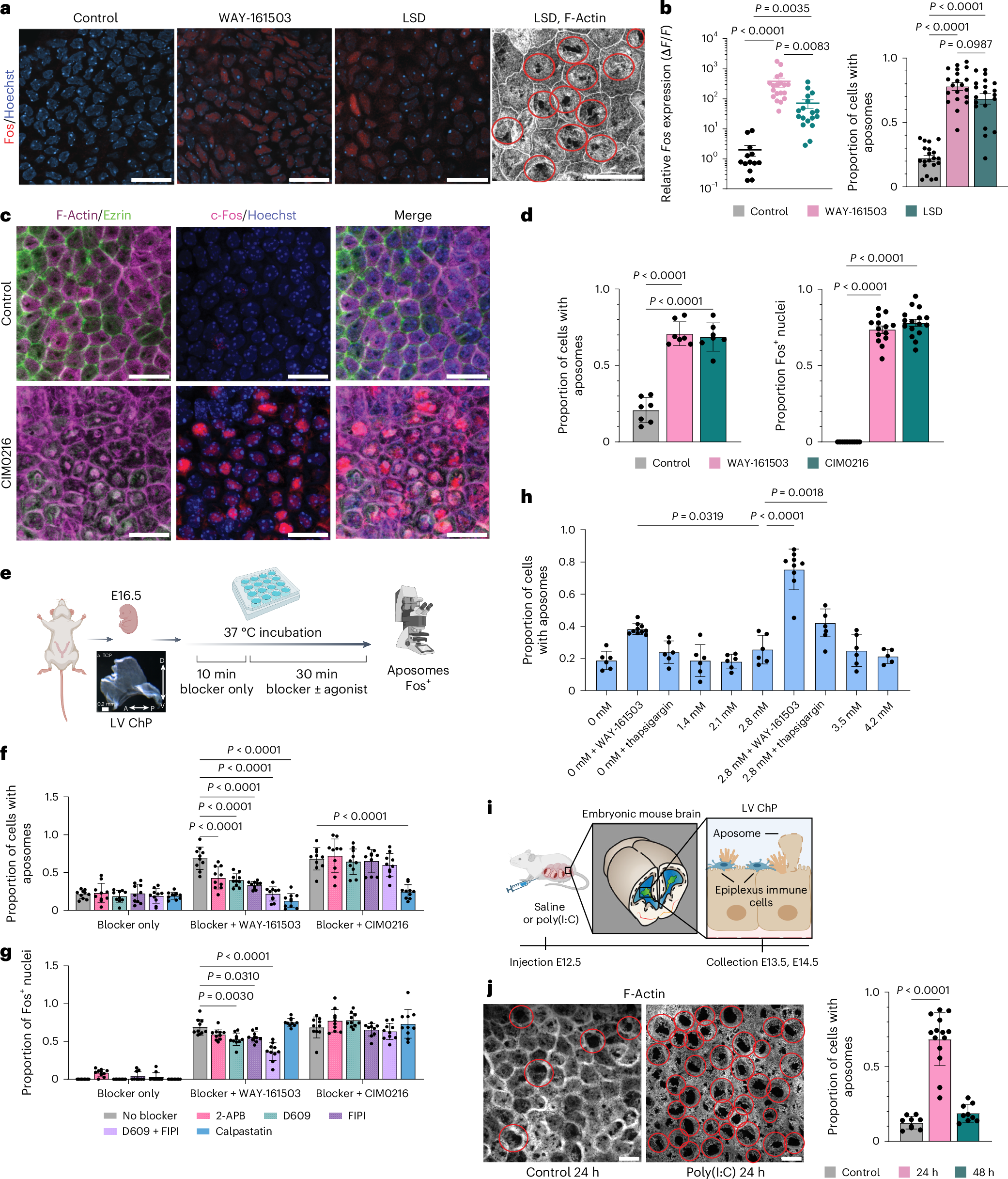 Fig. 6: An approach for screening maternal–fetal apocrine triggers.
