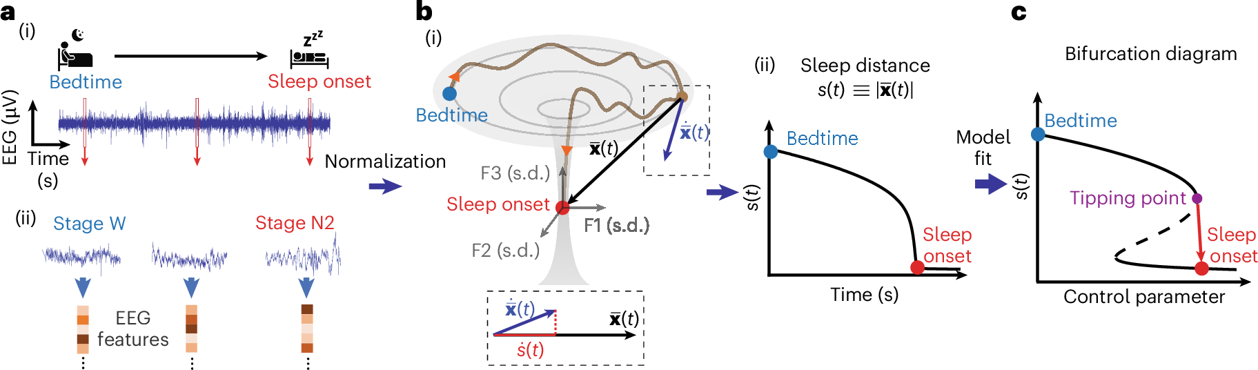 脳が眠りにつく仕組みを解明(Scientists uncover how the brain falls asleep)