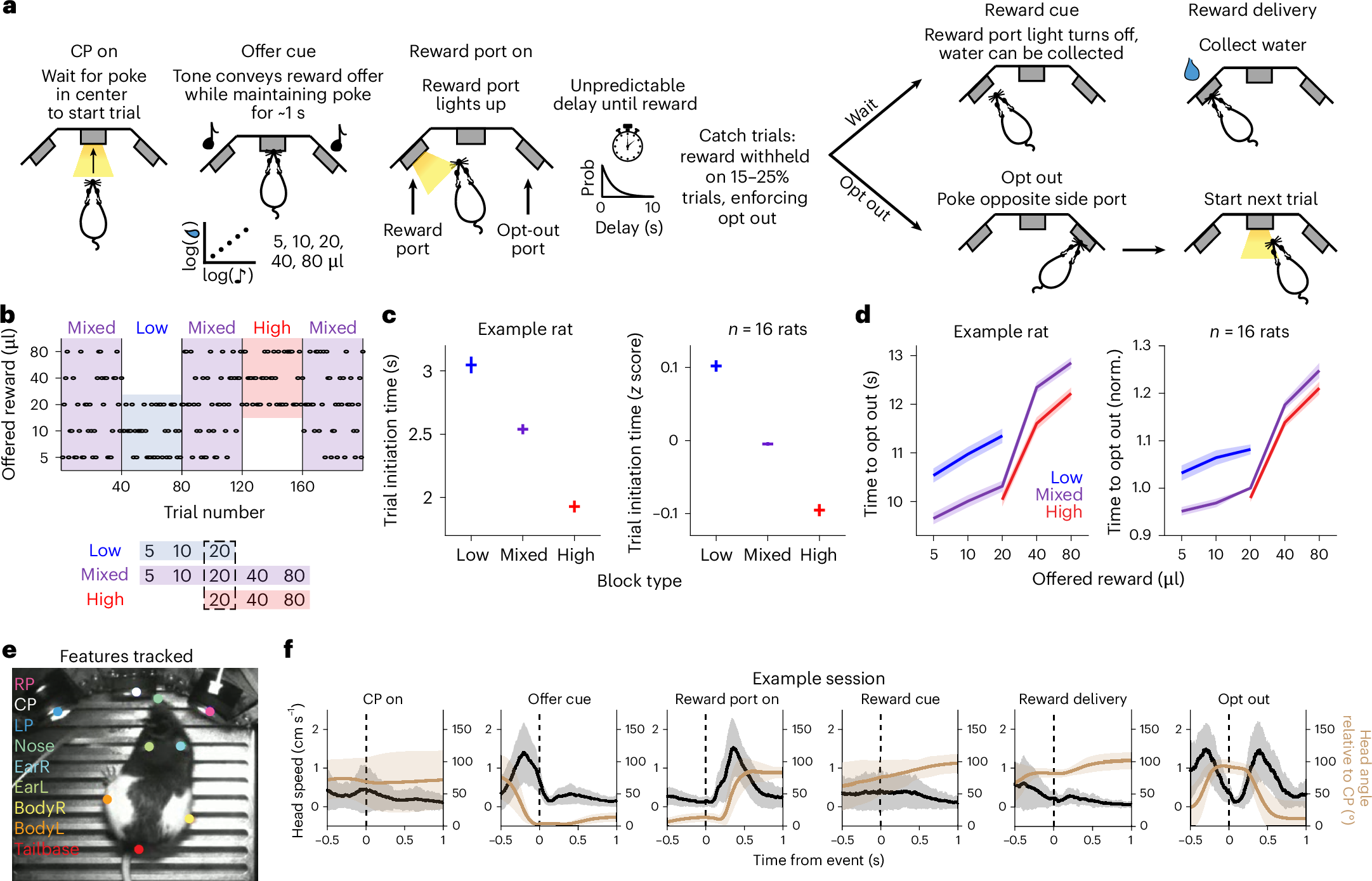 脳の学習・運動における「瞬きの時間スケール」を解明（Blink of an Eye Timing in Brain Use）