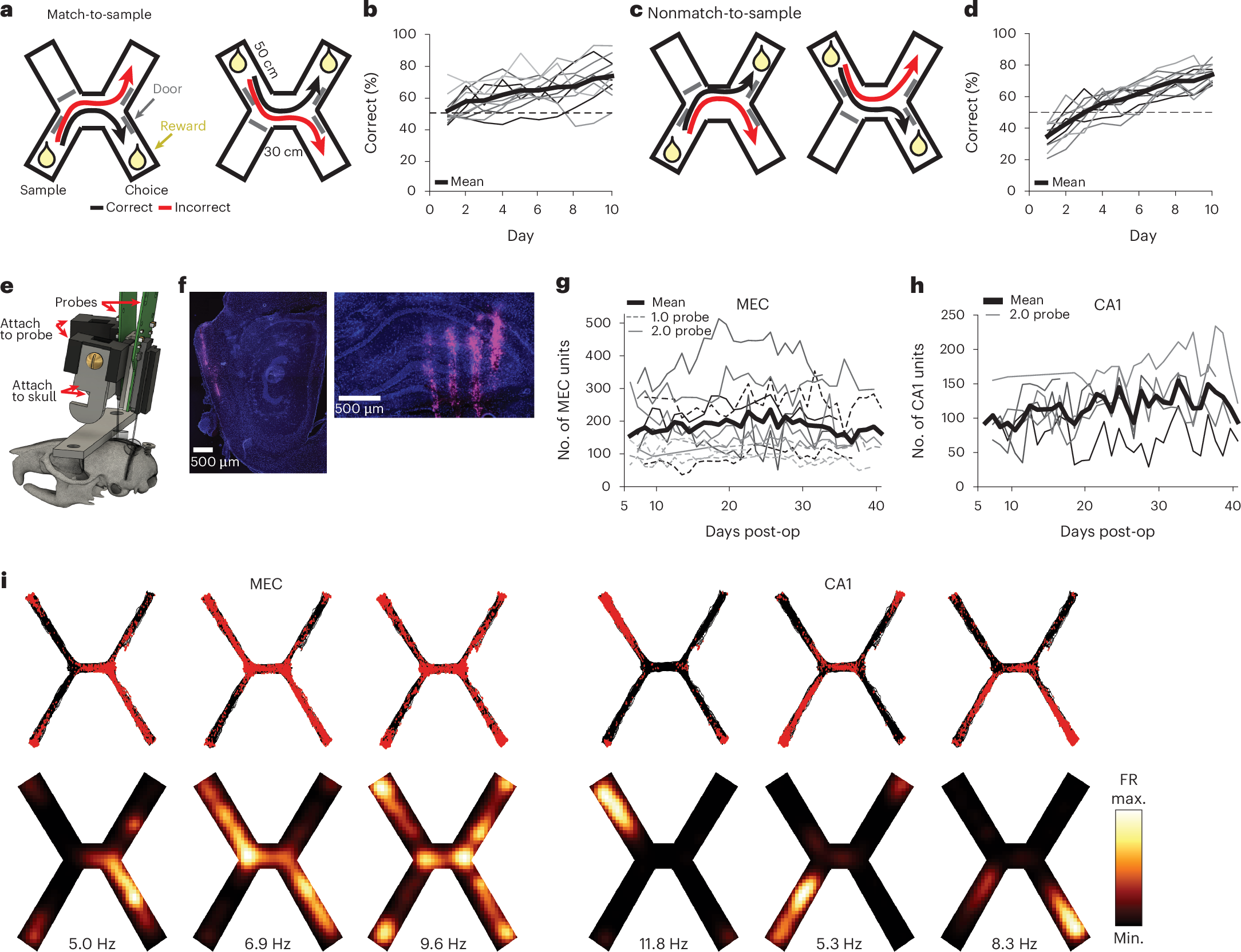 Entorhinal cortex represents task-relevant remote locations independently of CA1