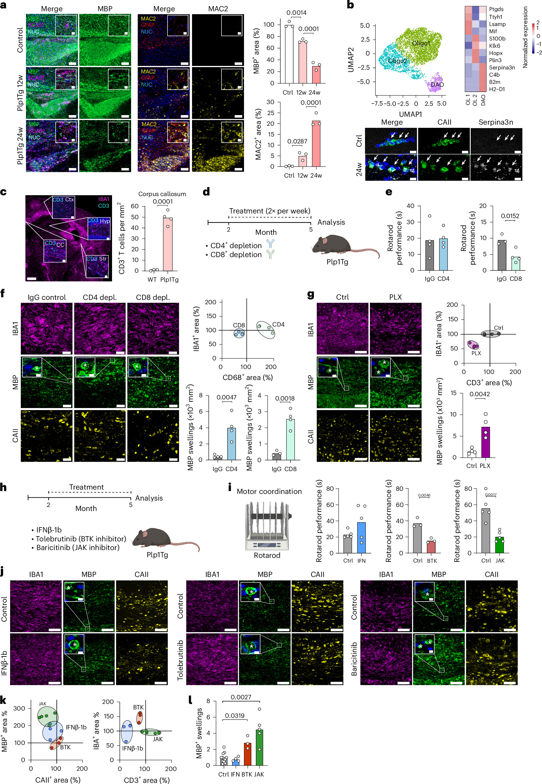 Chronic progressive demyelination induces a microglial state with lysosomal dysfunction