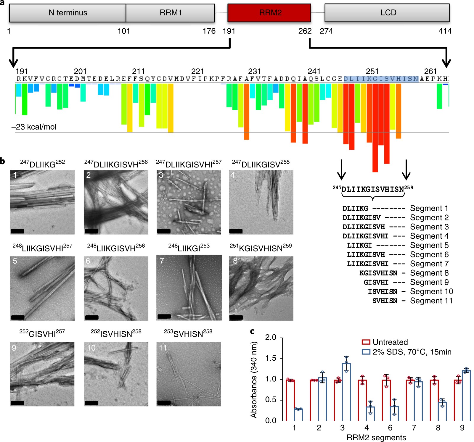 Atomic Level Evidence For Packing And Positional Amyloid Polymorphism By Segment Atomic Level Evidence For Packing And Positional Amyloid Polymorphism By Segment