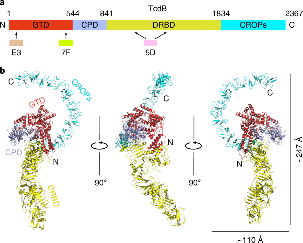 Карта осу toxin