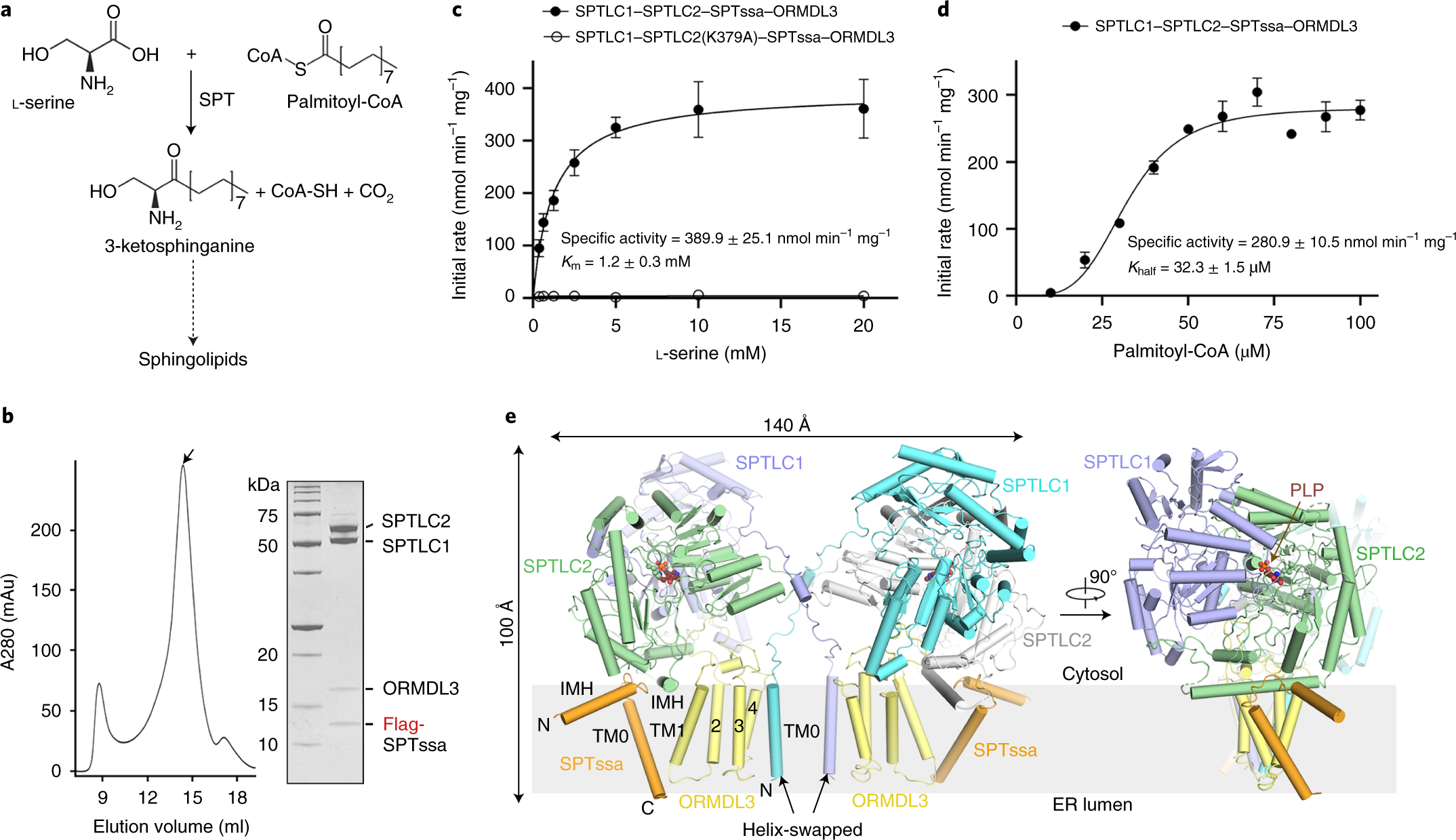 Structural Insights Into The Assembly And Substrate Selectivity Of Human Spt Ormdl3 Complex Nature Structural Molecular Biology