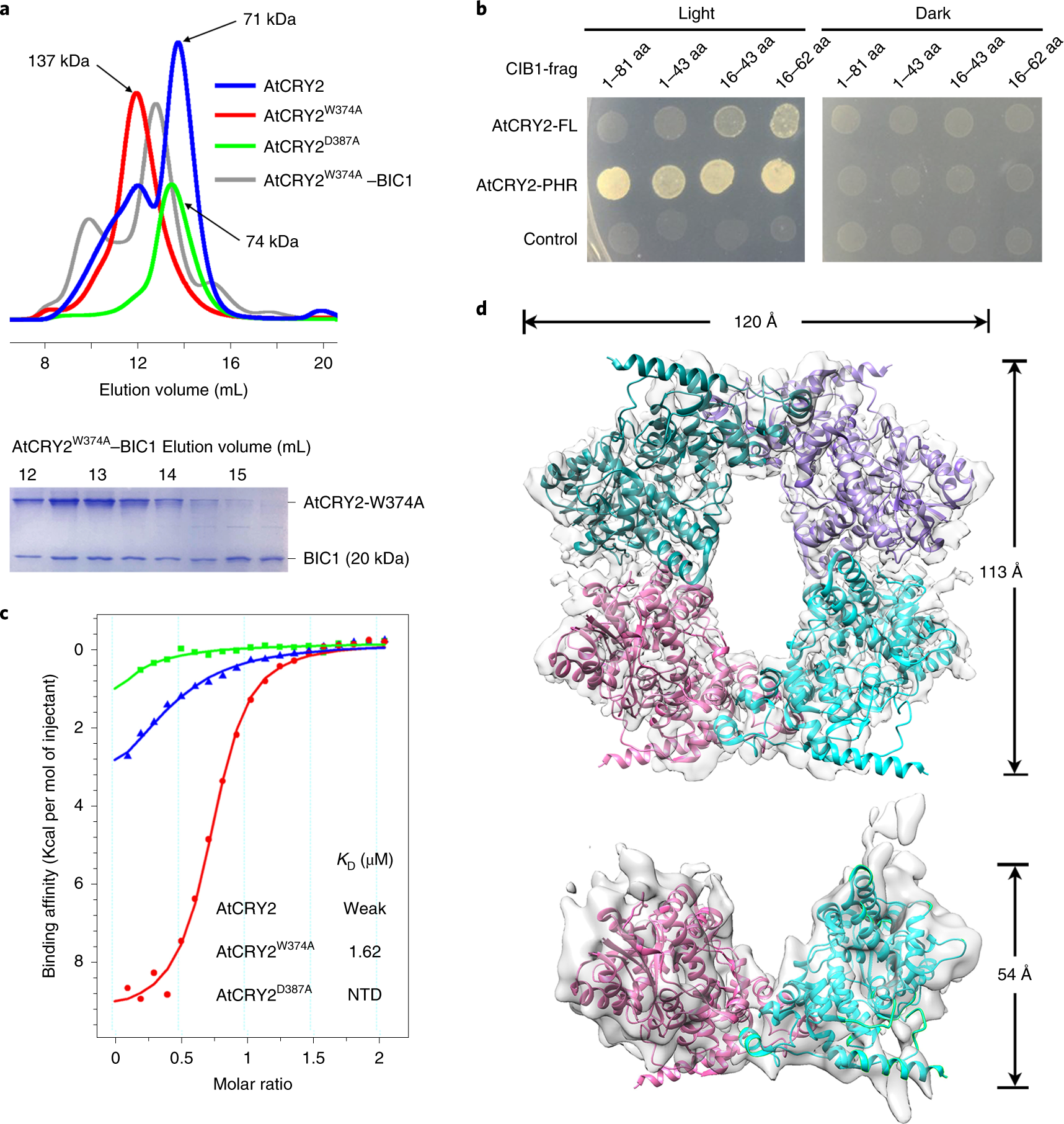 Crypto chrome strain (97) foto