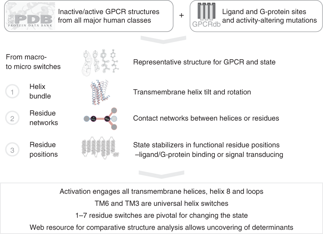GPCR activation mechanisms across classes and macro/microscales | Nature  Structural & Molecular Biology