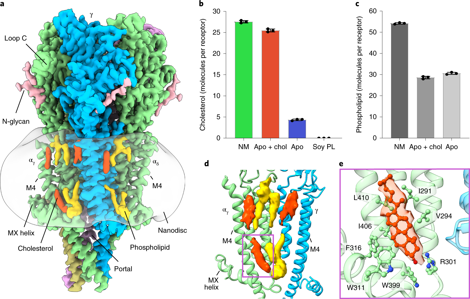 Structural mechanism of muscle nicotinic receptor desensitization and block  by curare | Nature Structural & Molecular Biology