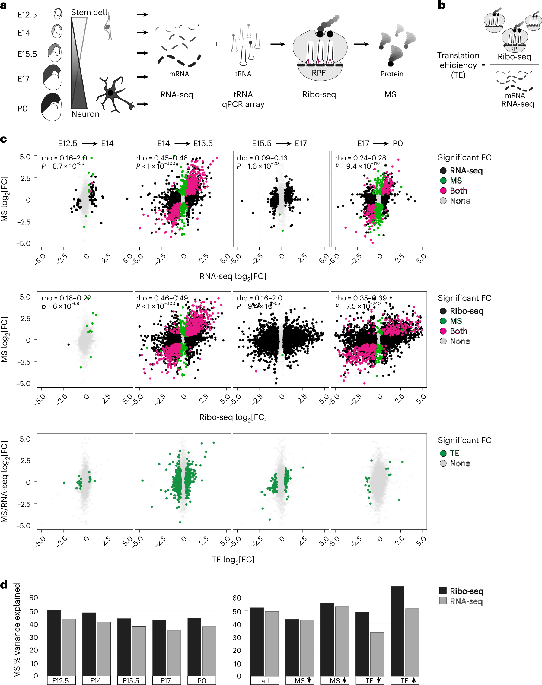 PDF) Translational derepression of Elavl4 isoforms at their alternative 5′  UTRs determines neuronal development