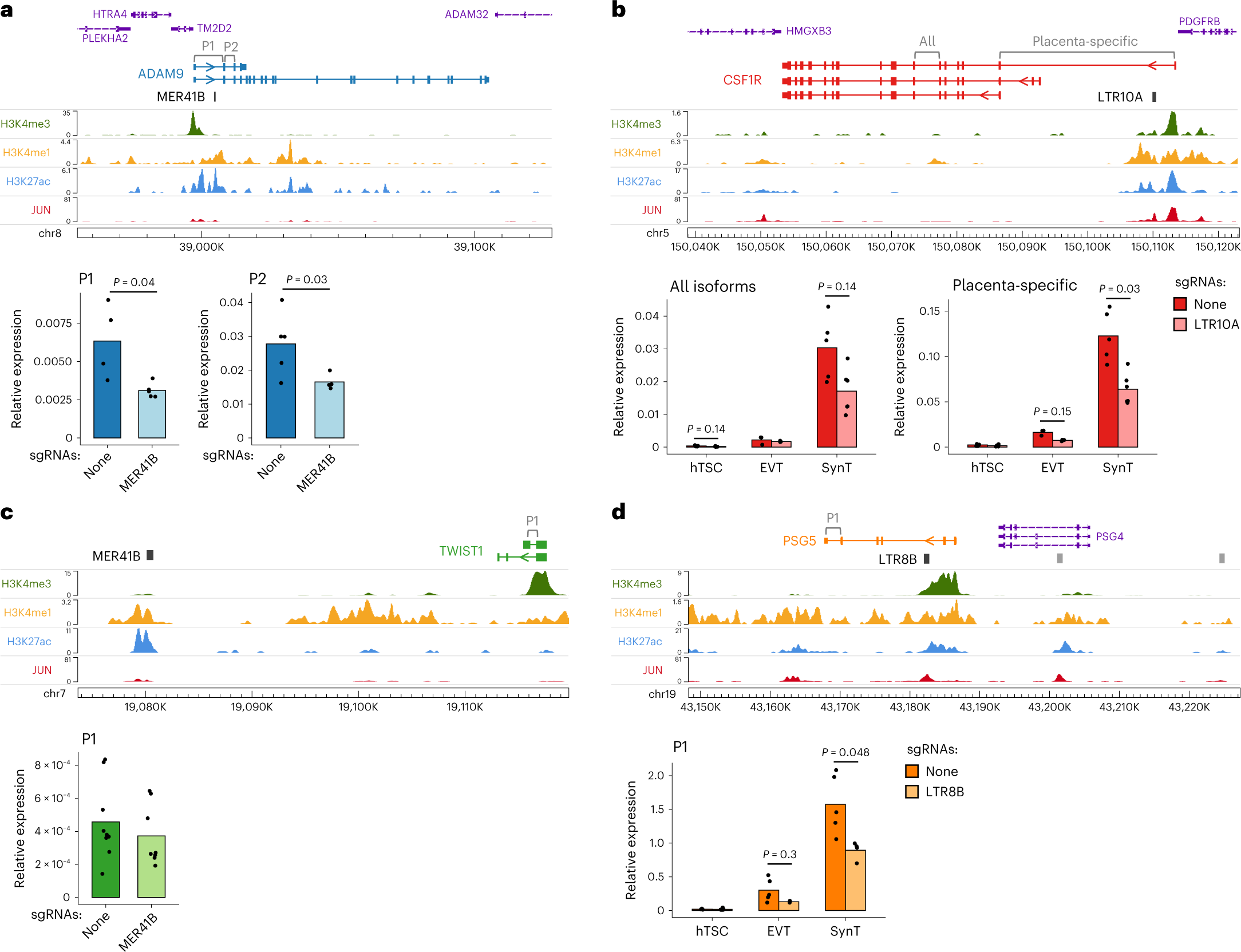 Fig. 5: Genetic excision of hTSC-active ERVs.