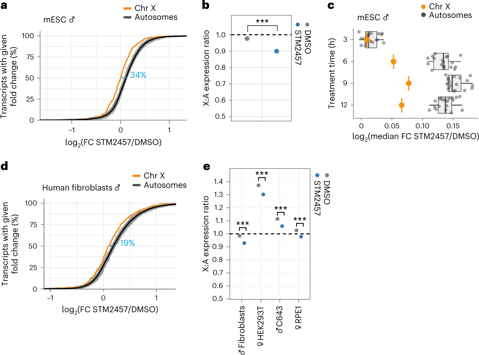 Fig. 2: X-chromosomal transcripts are more stable and less upregulated upon m6A depletion.