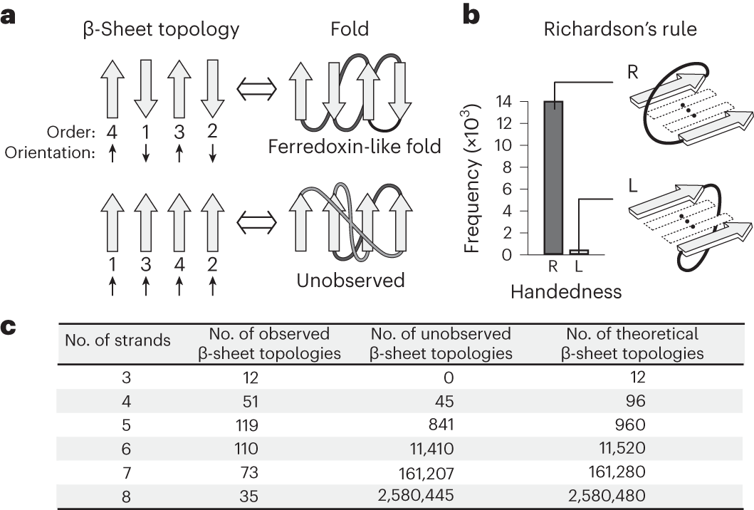 Exploration of novel αβ-protein folds through de novo design | Nature  Structural & Molecular Biology