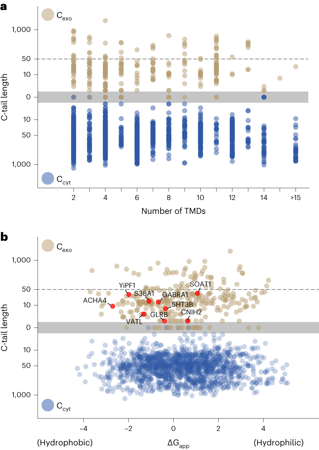 Fig. 6: Systematic analysis of multipass membrane protein orientation.