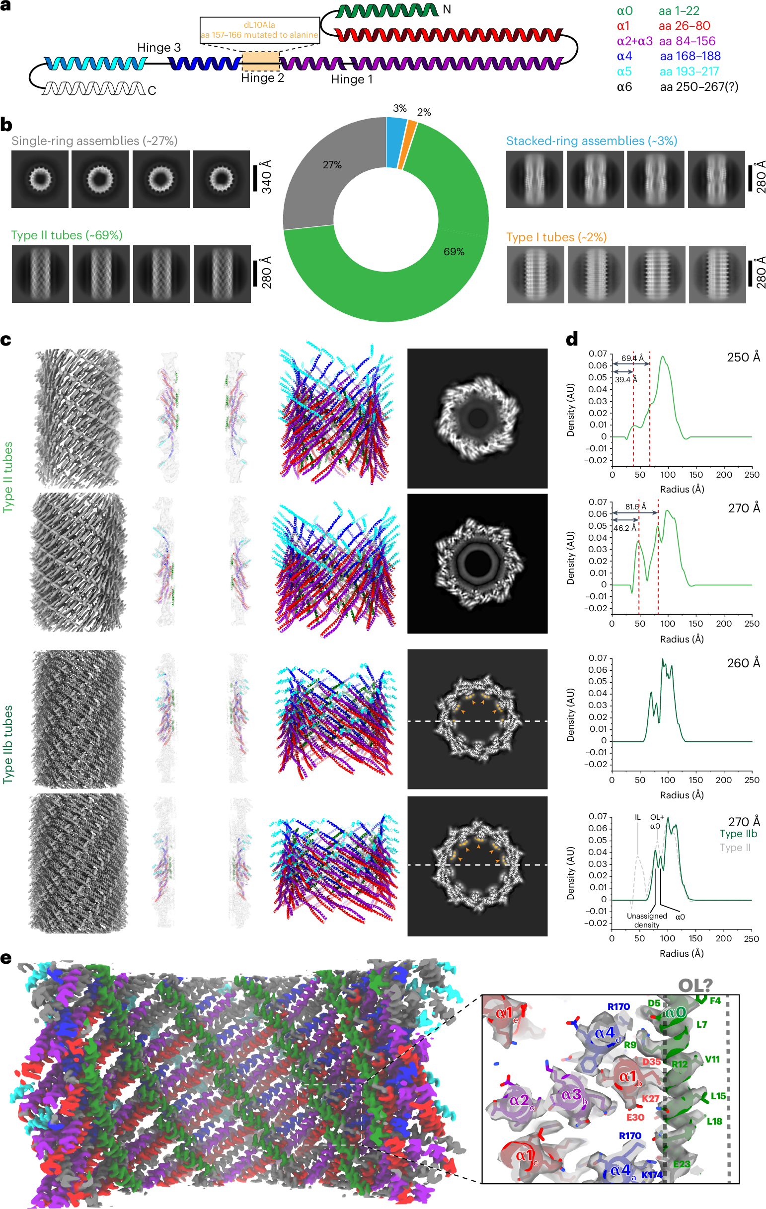 Fig. 4: Cryo-EM structures of the plasticity-reduced Vipp1 dL10Ala.