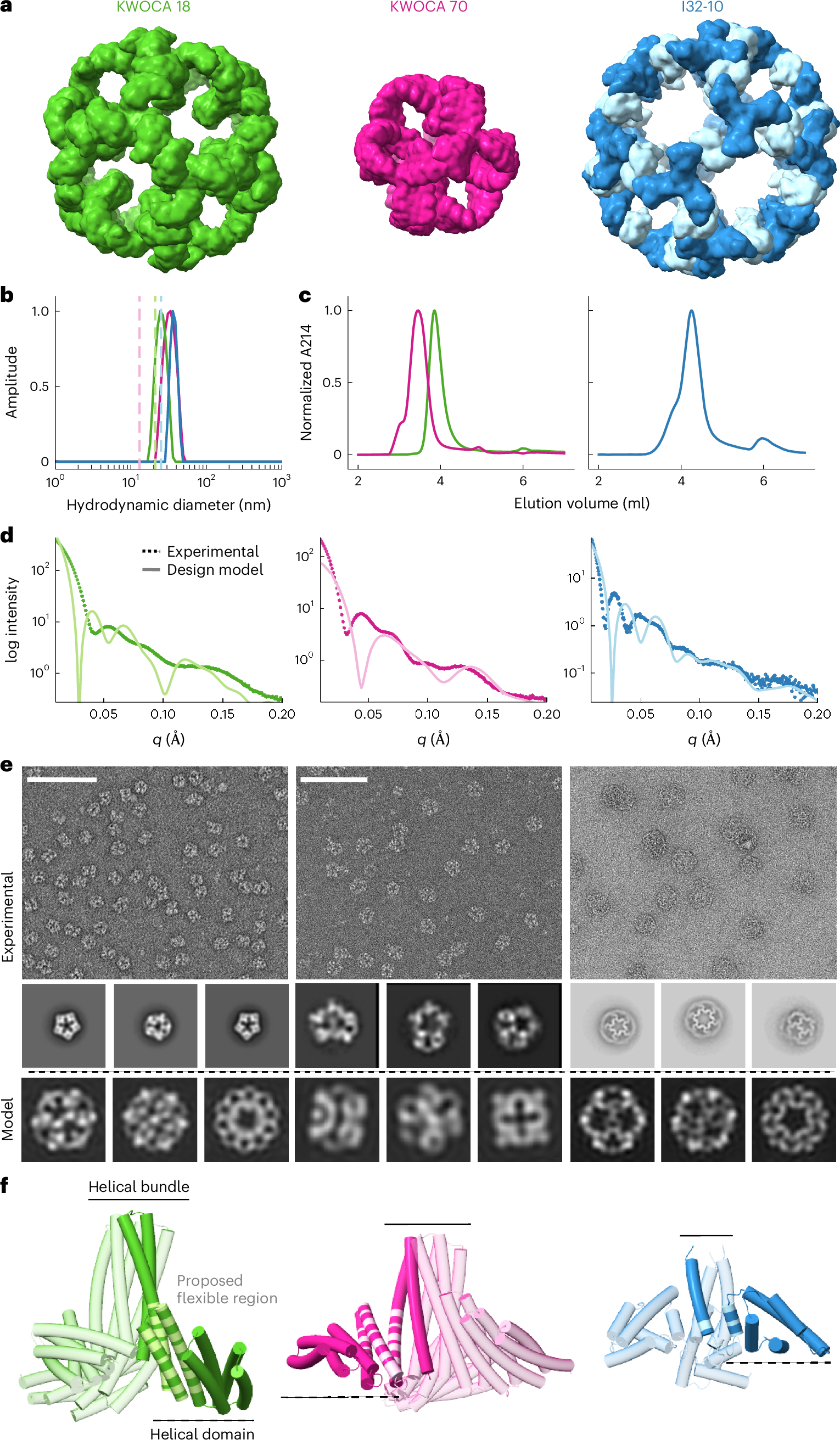 タンパク質設計の柔軟な要素が新たな構造を可能に (Protein design: flexible components allow new architectures)