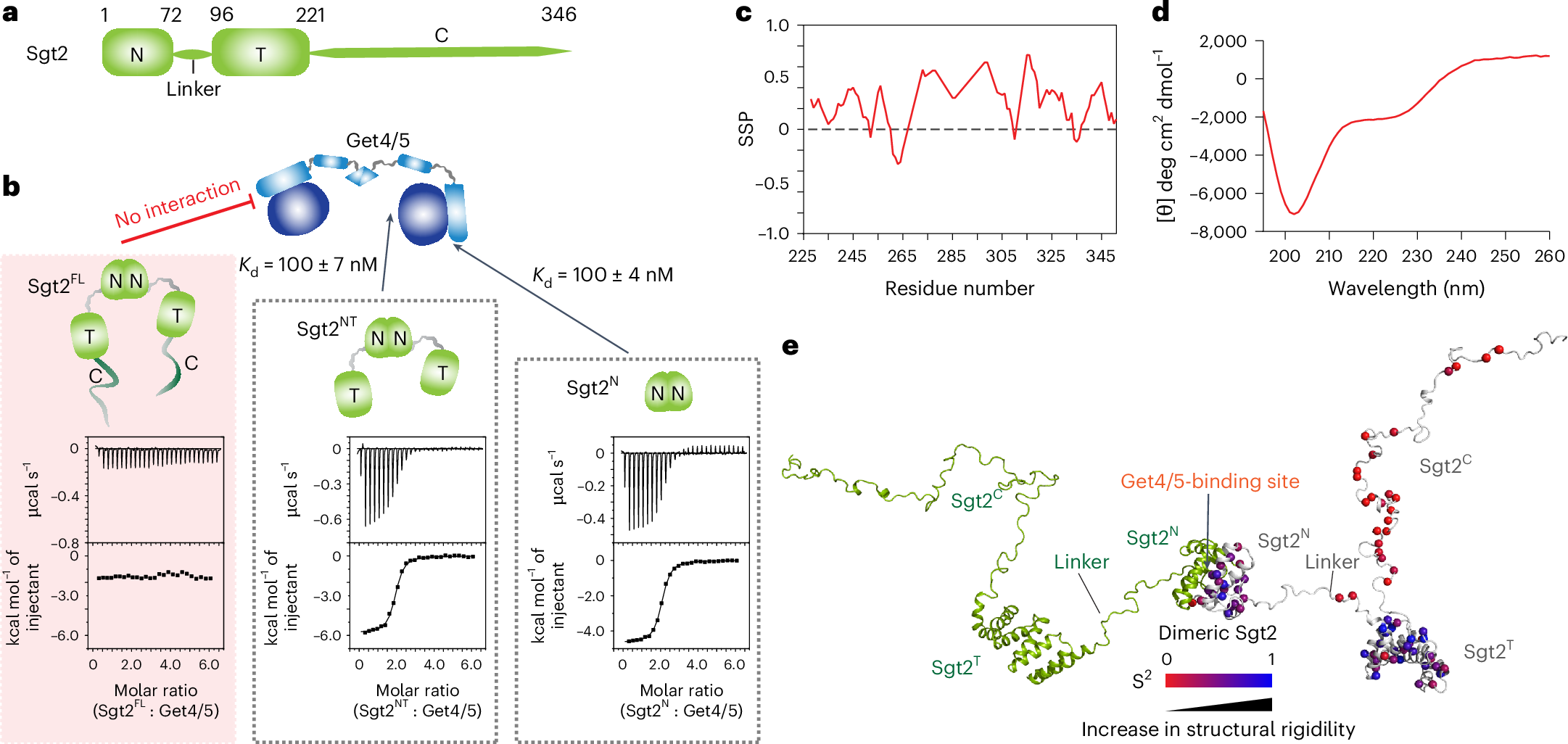 Trx h2 construct yeast 2 hybrid (93) 사진