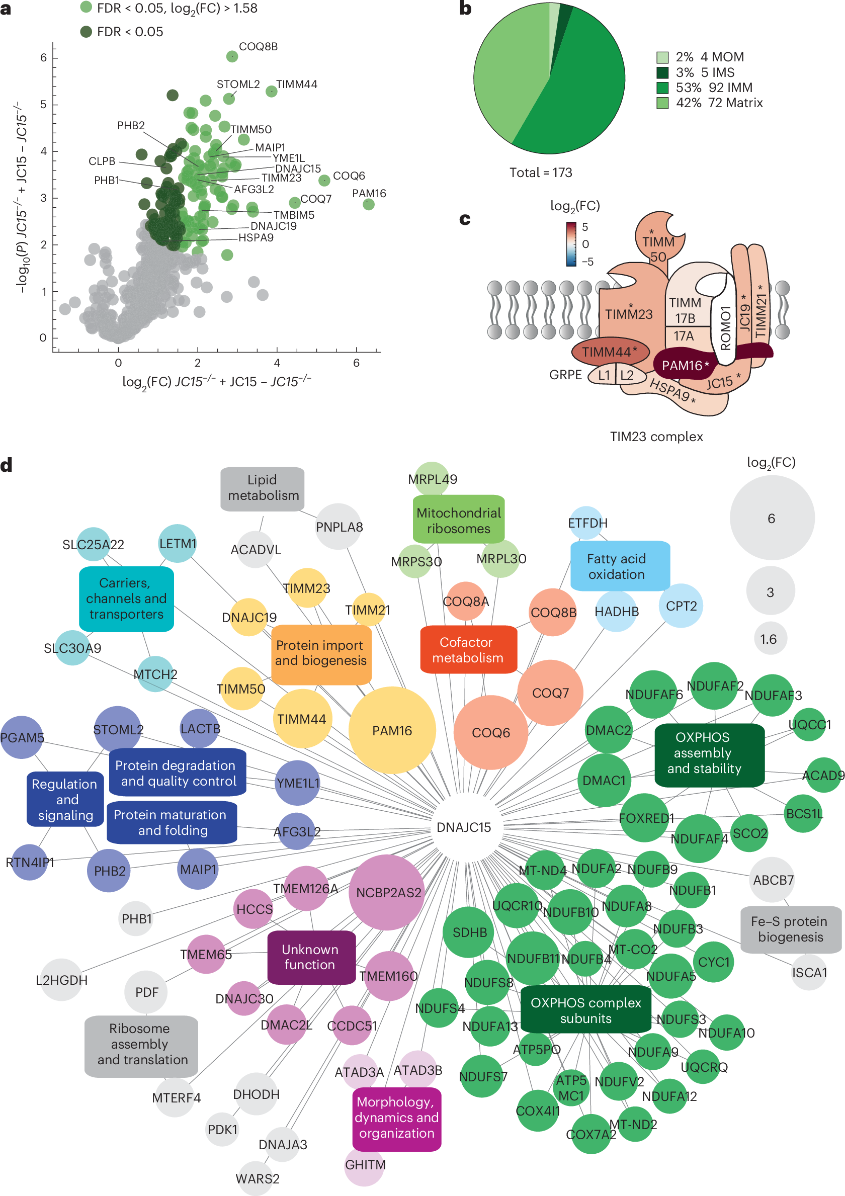 Fig. 3: The DNAJC15 interactome.