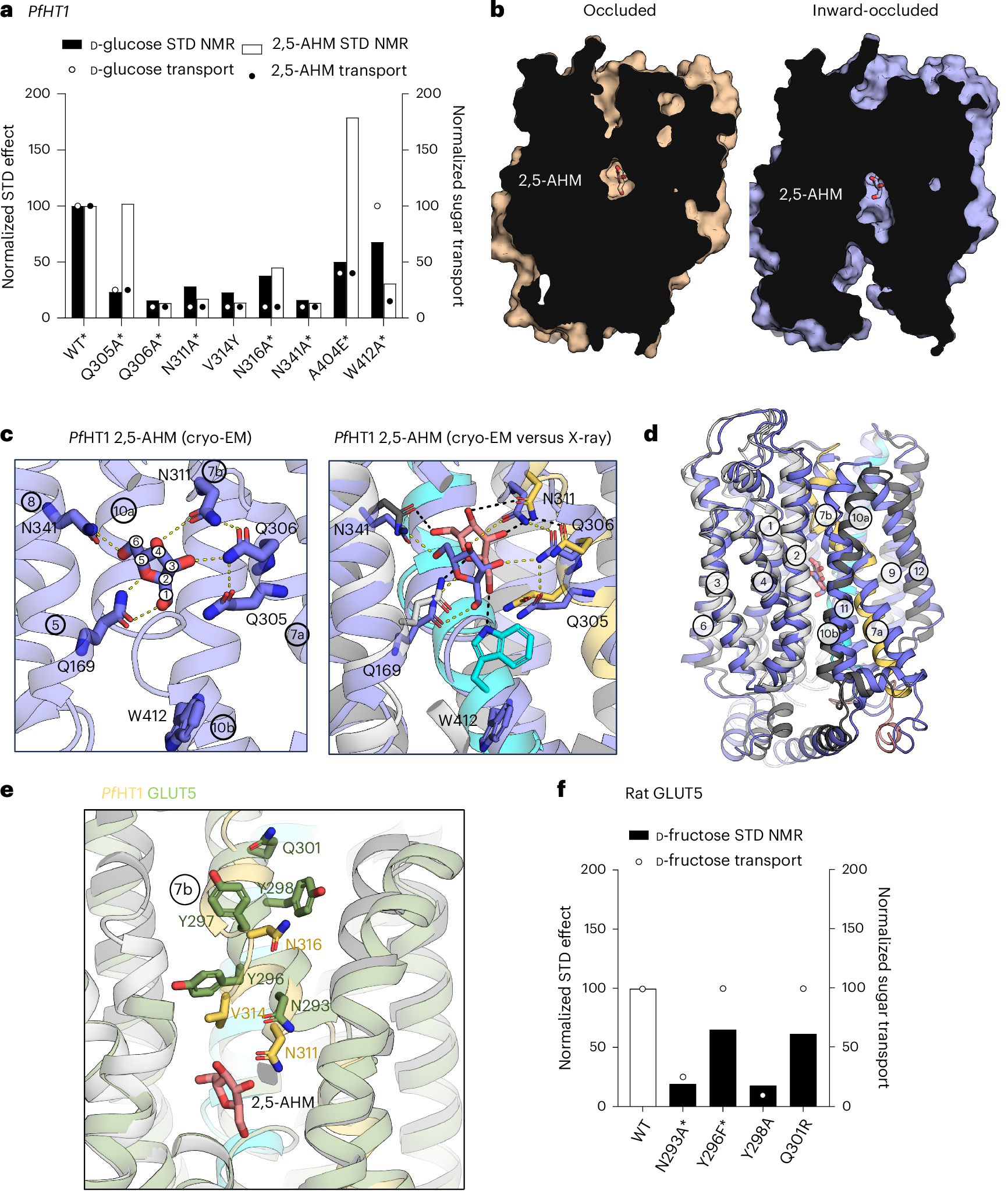 Fig. 5: Sugar-coupling analysis of PfHT1 and rat GLUT5.