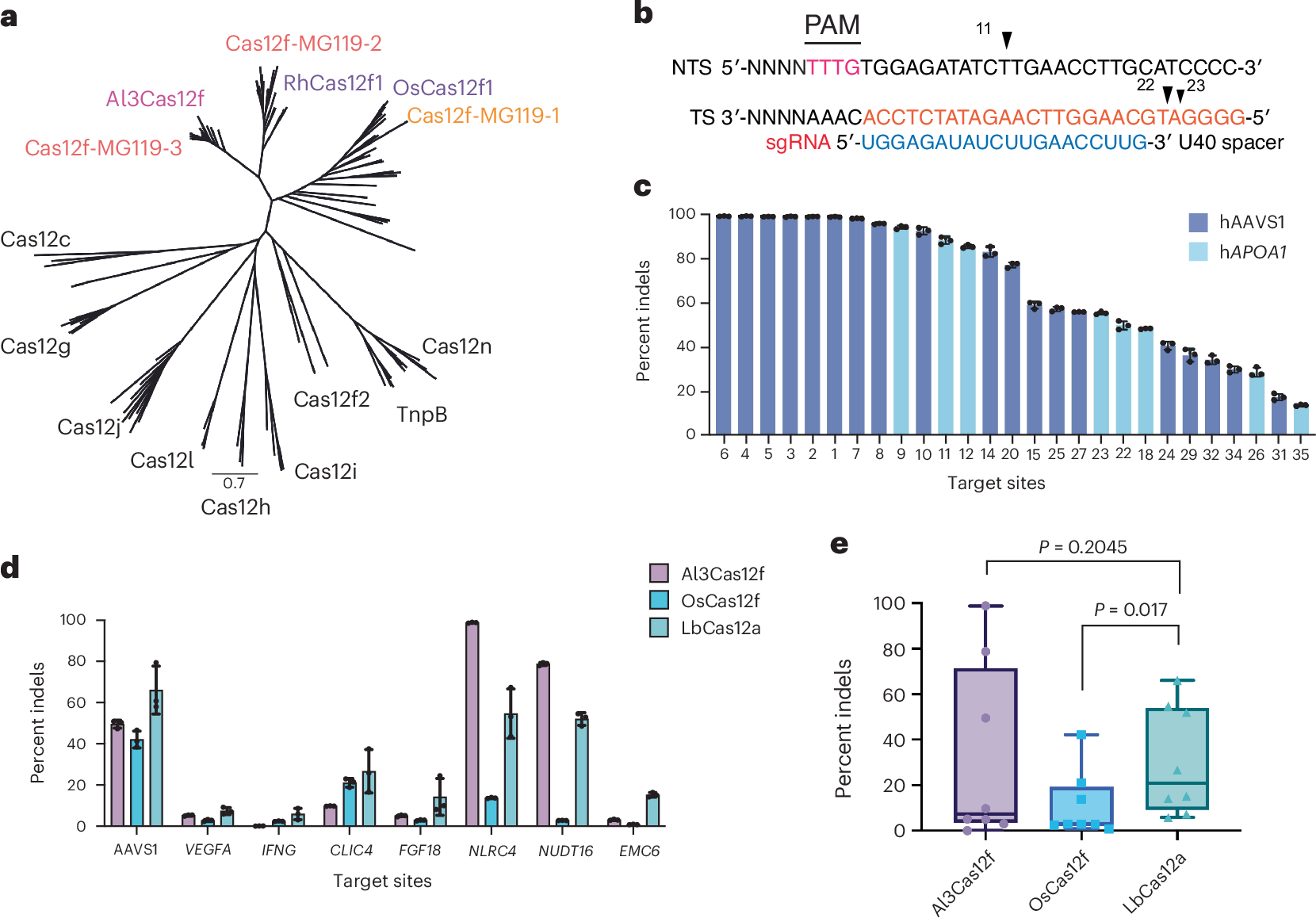 体内精密送達を可能にする小型CRISPR技術の開発（NIH-funded breakthrough shrinks CRISPR for precision delivery in the body）